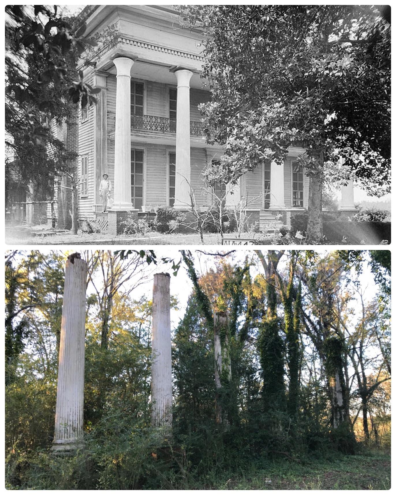 Mount Ida Plantation, Talladega, AL. 1935 vs 2018 (link to photos in