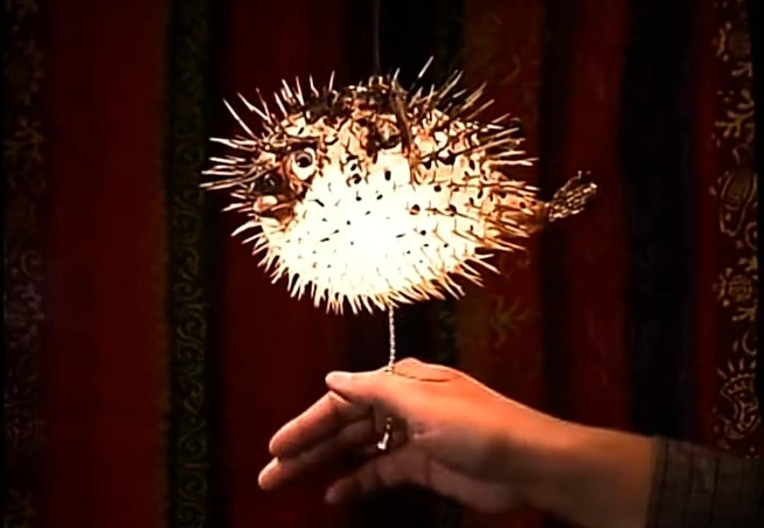 "Then what happened to Mr. Puff?" r/spongebob