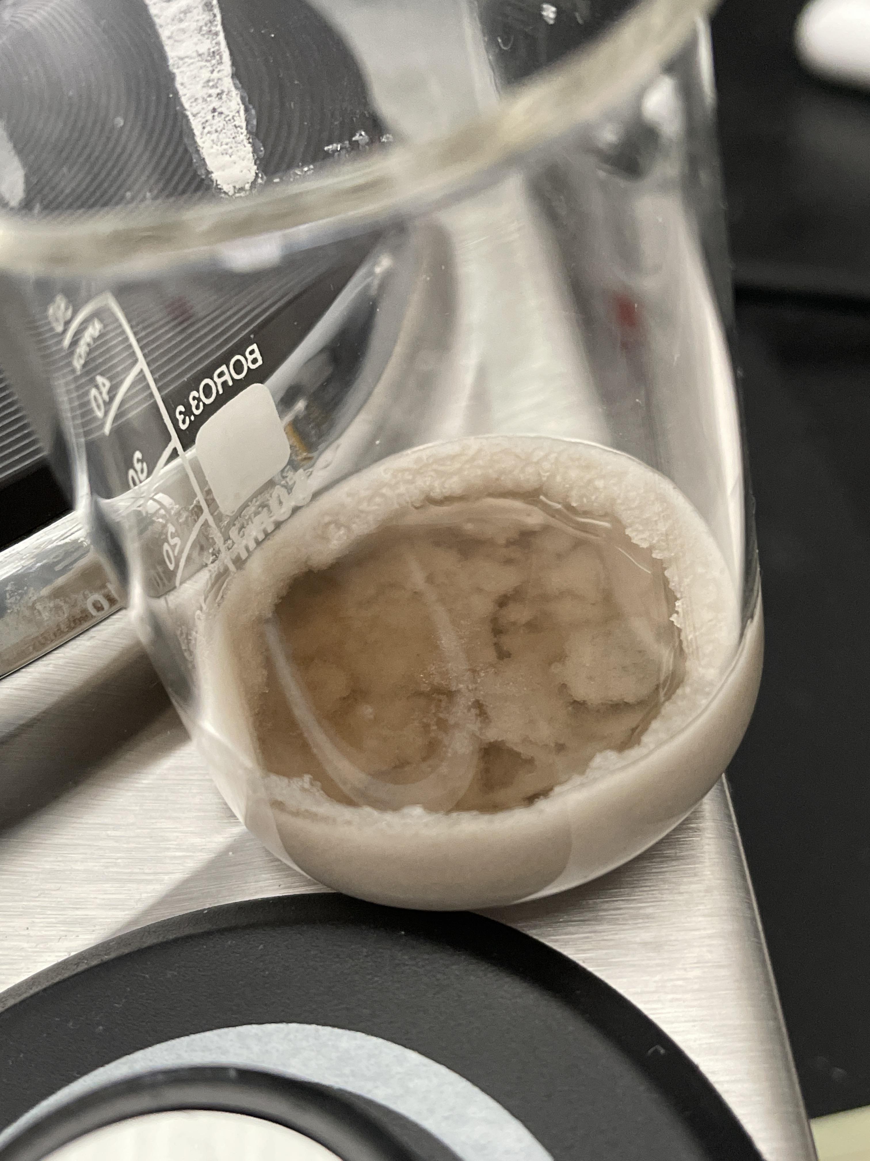 First time doing isopropyl alcohol clean. Only just removed from heat