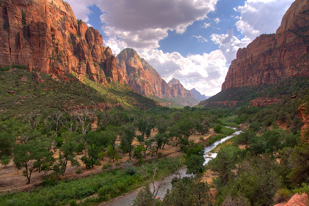 Natural Beauty at Zion National Park, Utah r/ZionNationalPark