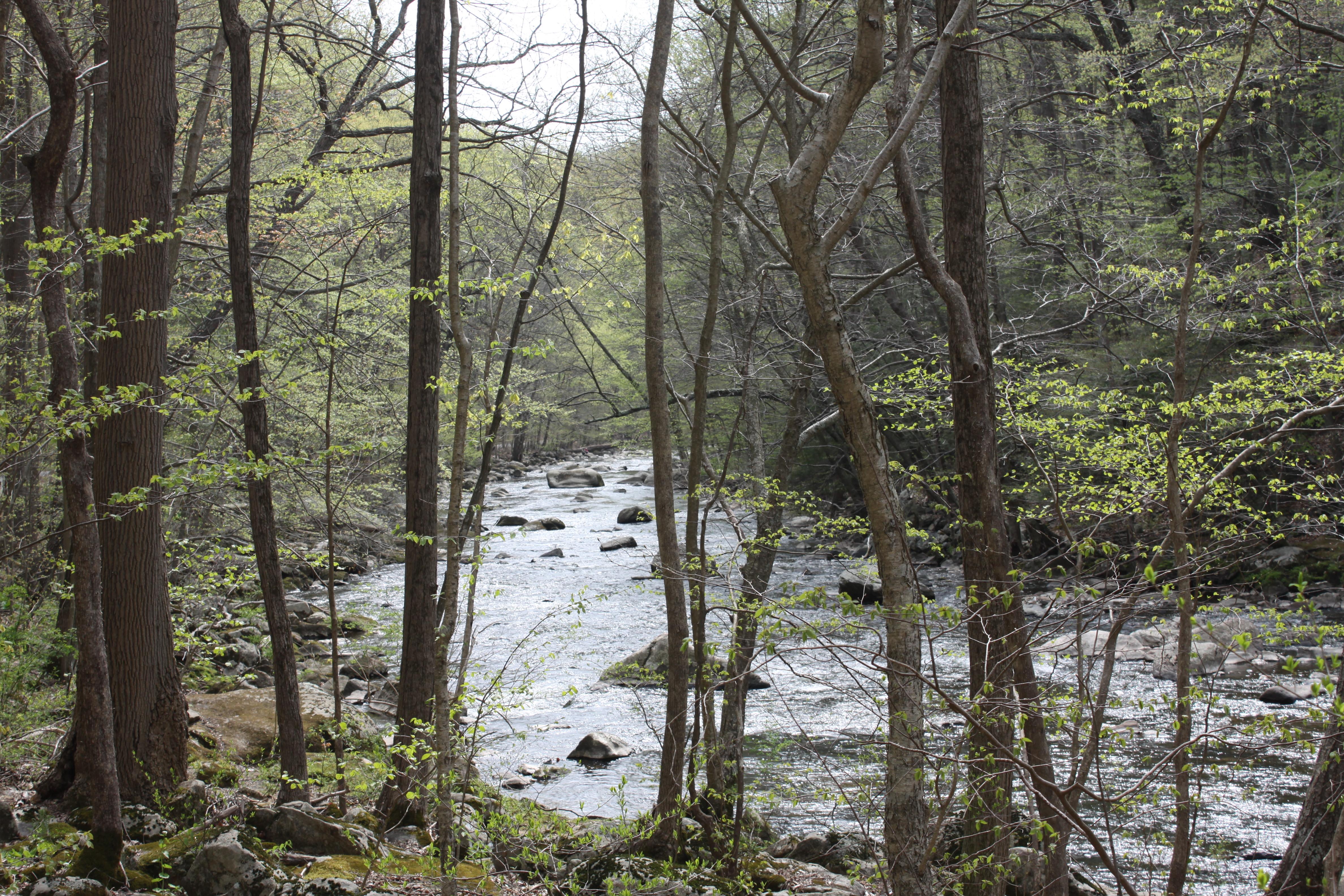 Ken Lockwood a Wildlife Management Area near High Bridge, NJ. A