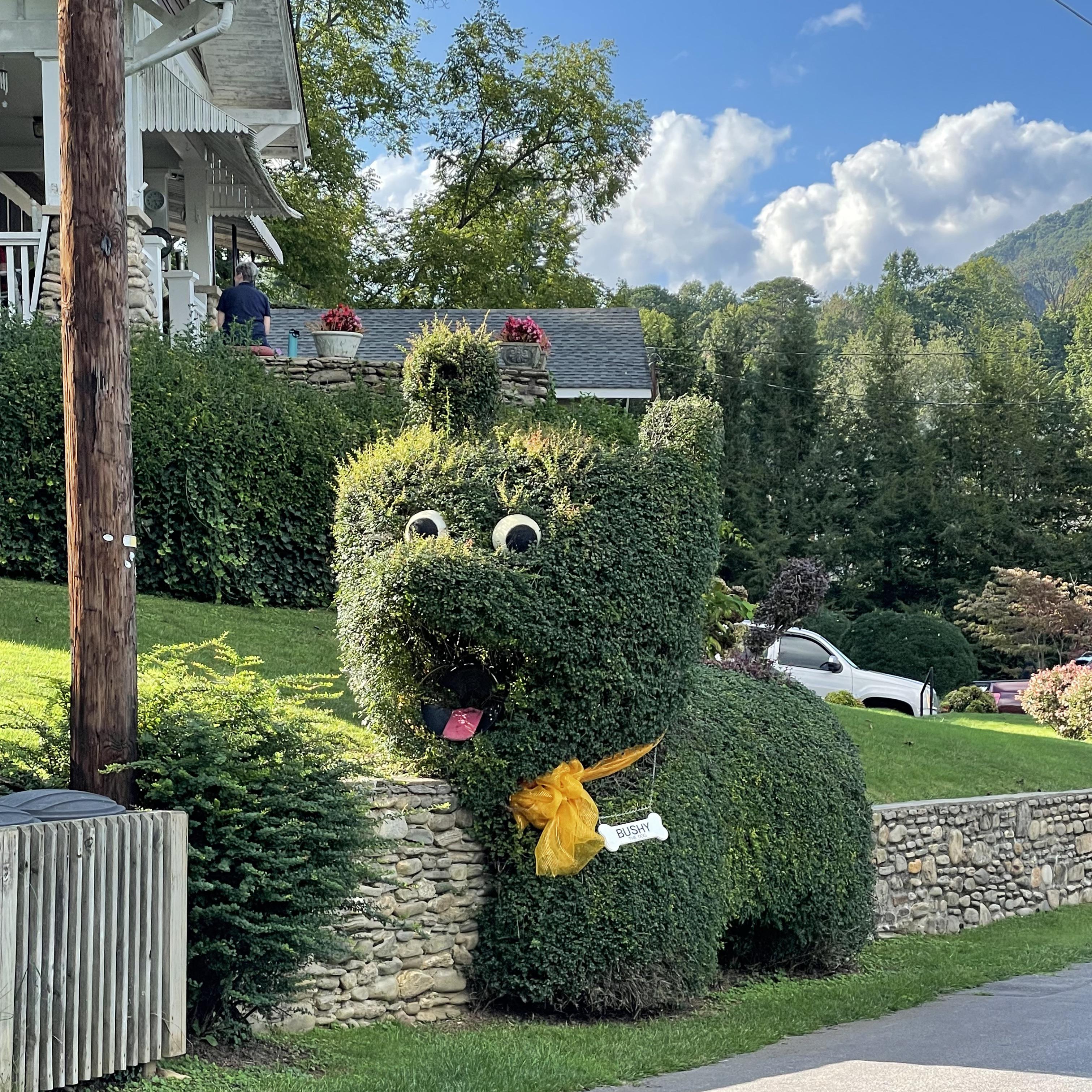 Bushy the Dog spotted at Lake Junaluska, NC r/Damnthatsinteresting