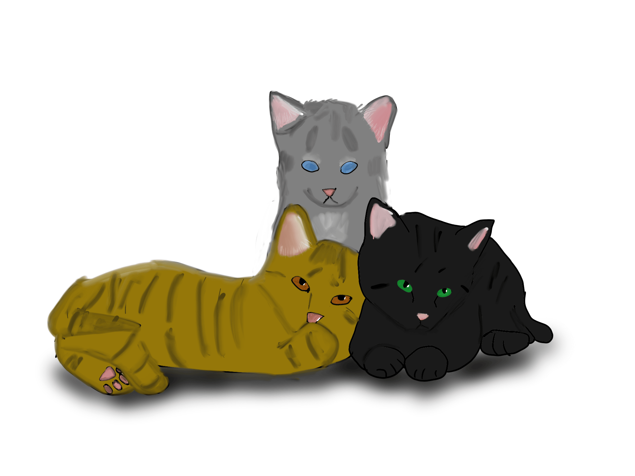 Lionpaw, hollypaw, and Jaypaw by me, not great but was fun to make r