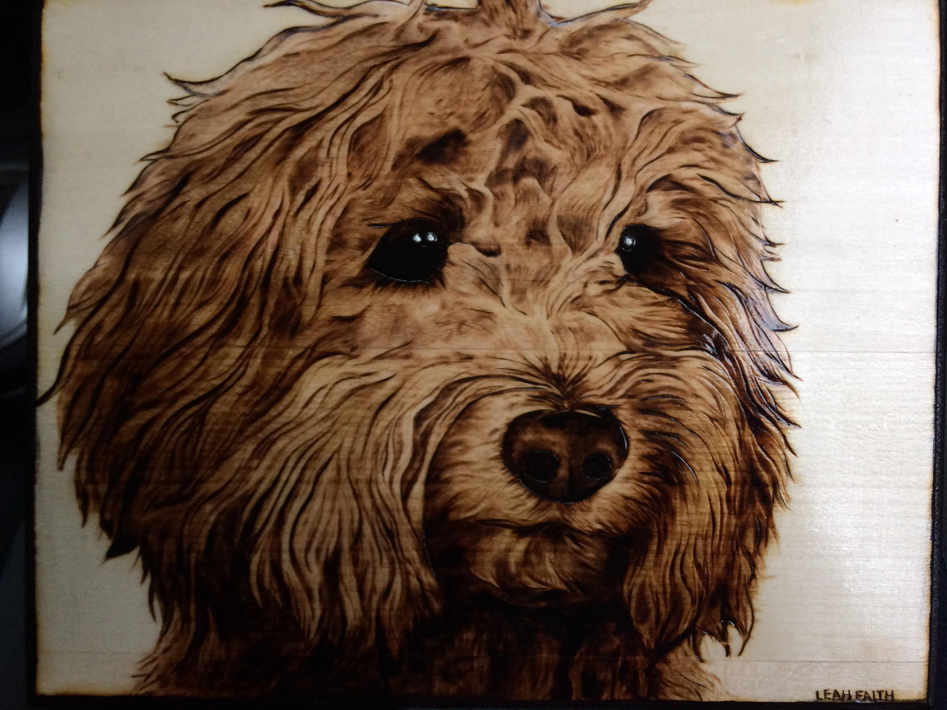 Curly haired dogs are a huge challenge for me but I left proud of this