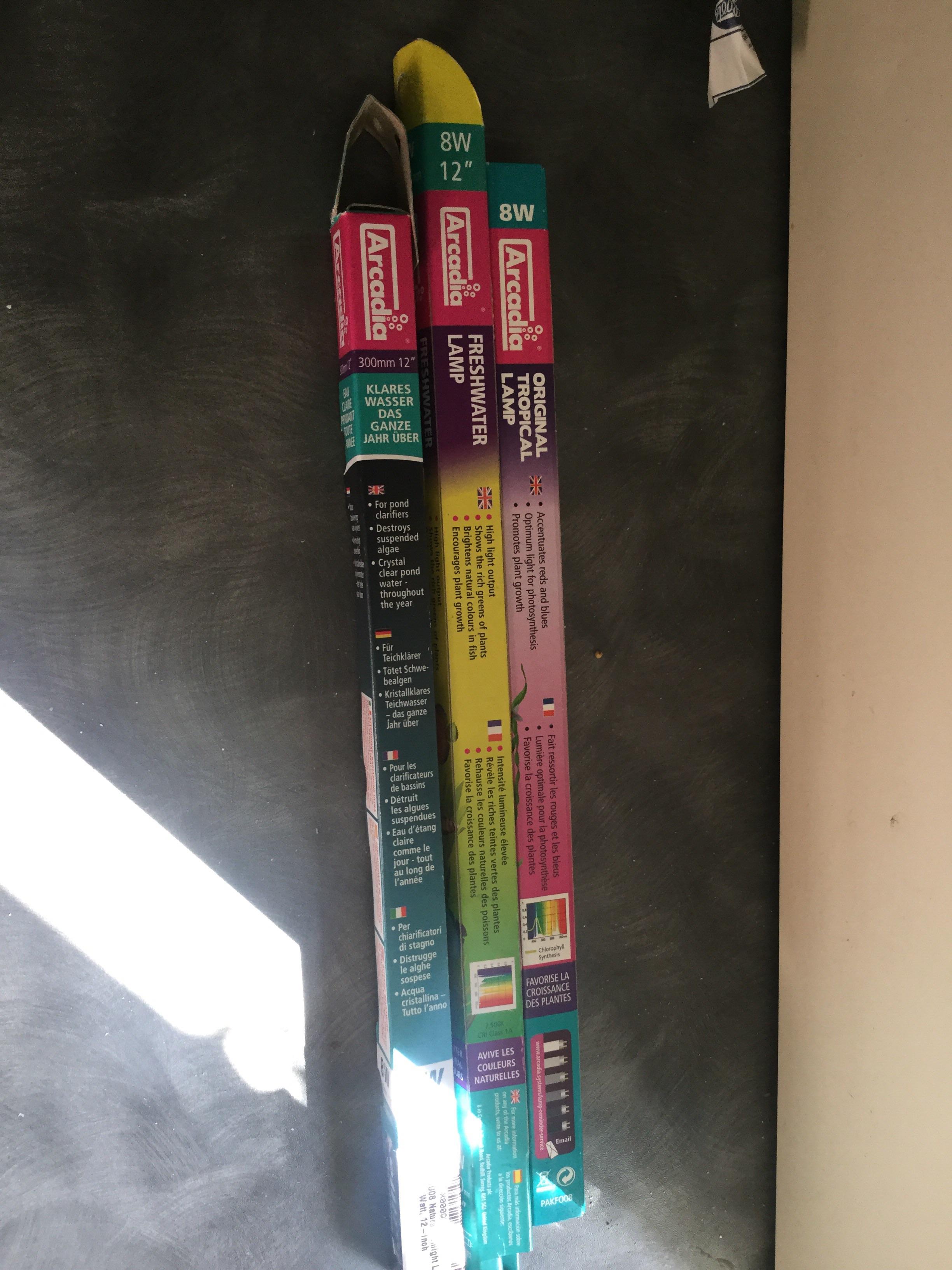 Light bulbs for corn snakes r/snakes