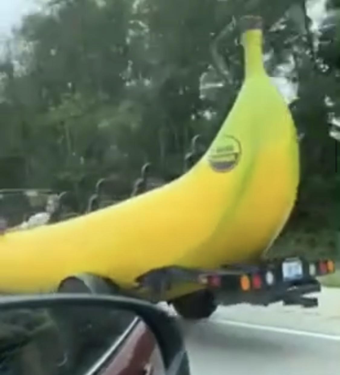 Banana boat team punching air r/Nbamemes