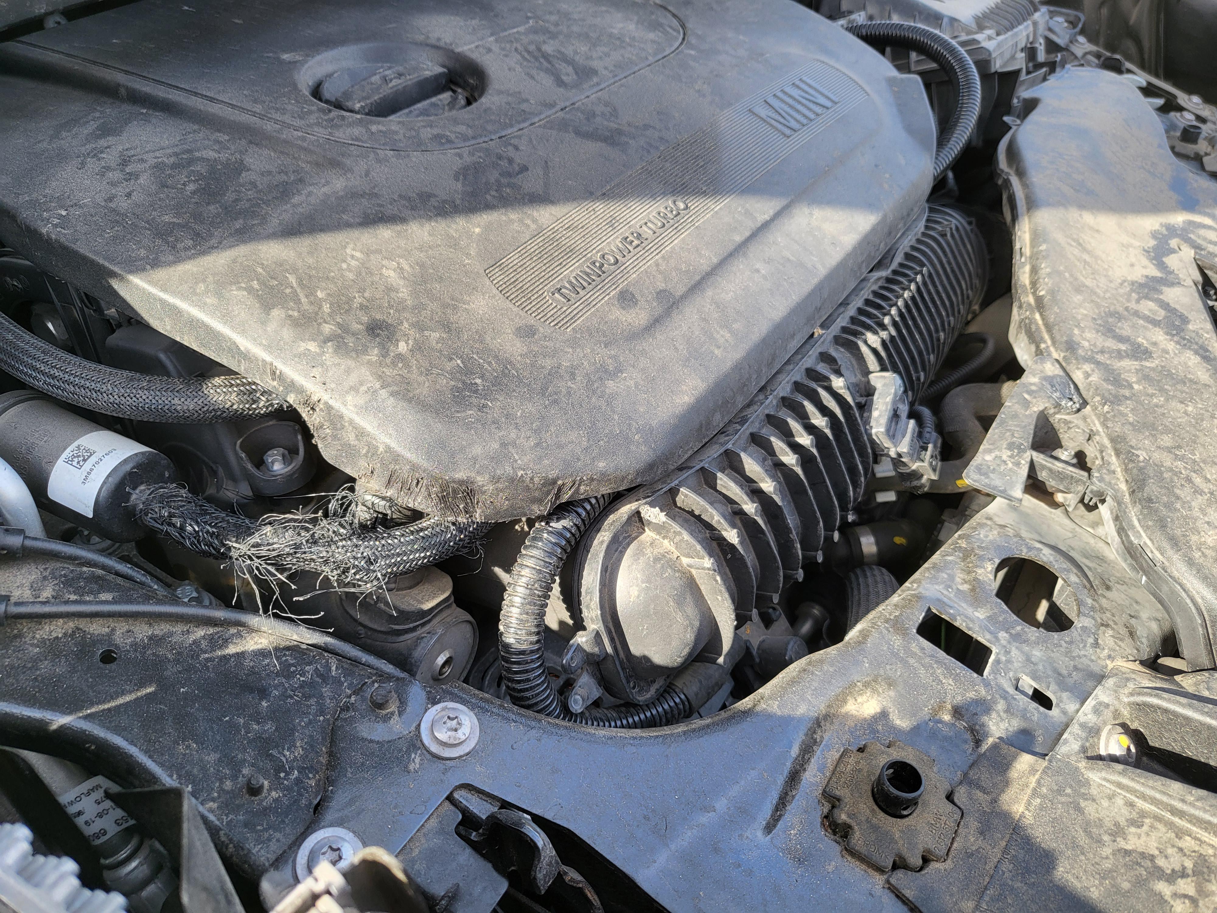 Has anyone experienced damage hoses under their hood? I popped my hood