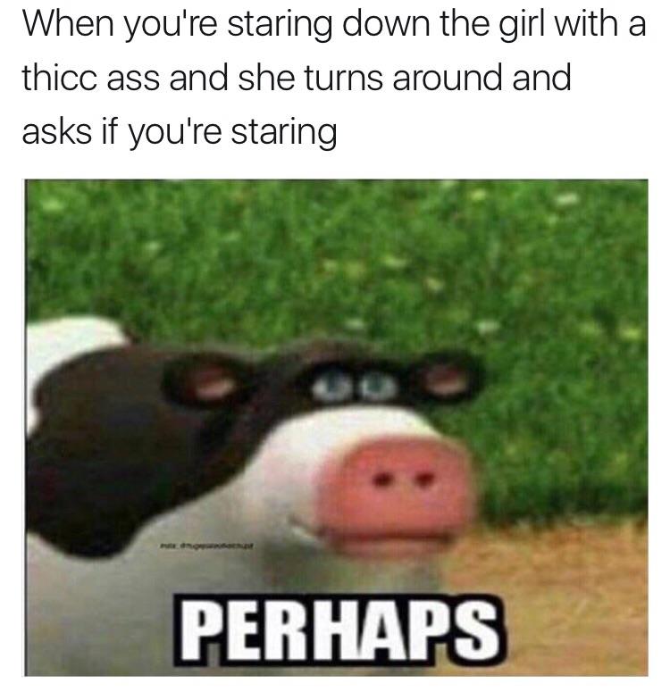 Back at the barnyard memes are popping up more and more, start buying