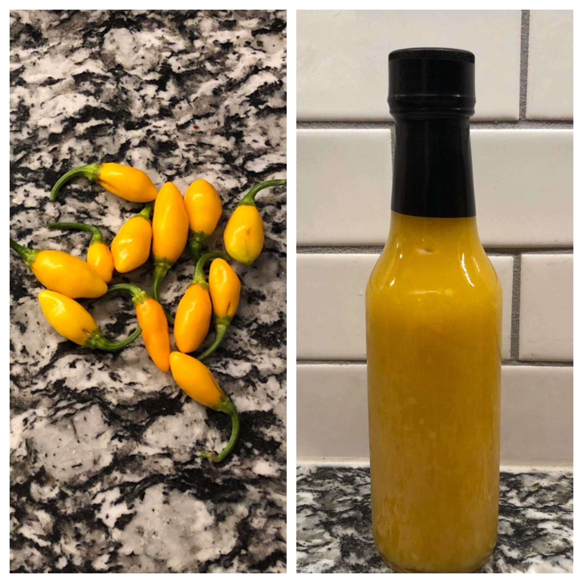 Datil pepper sauce. Slight fruit sweetness, lots of heat! r