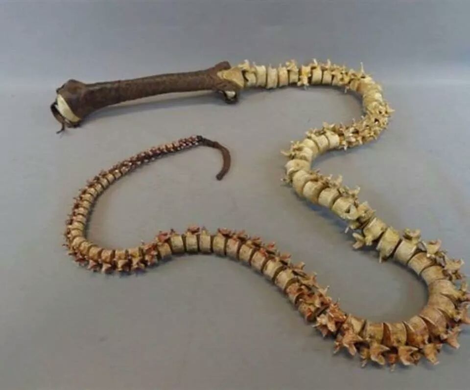Spine whip, legendary weapon. 18dmg holding shift and attacking
