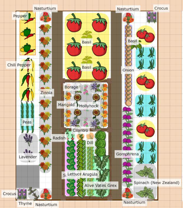 Rate my Spring Garden plan!!!!! Zone 7b Virginia r/vegetablegardening