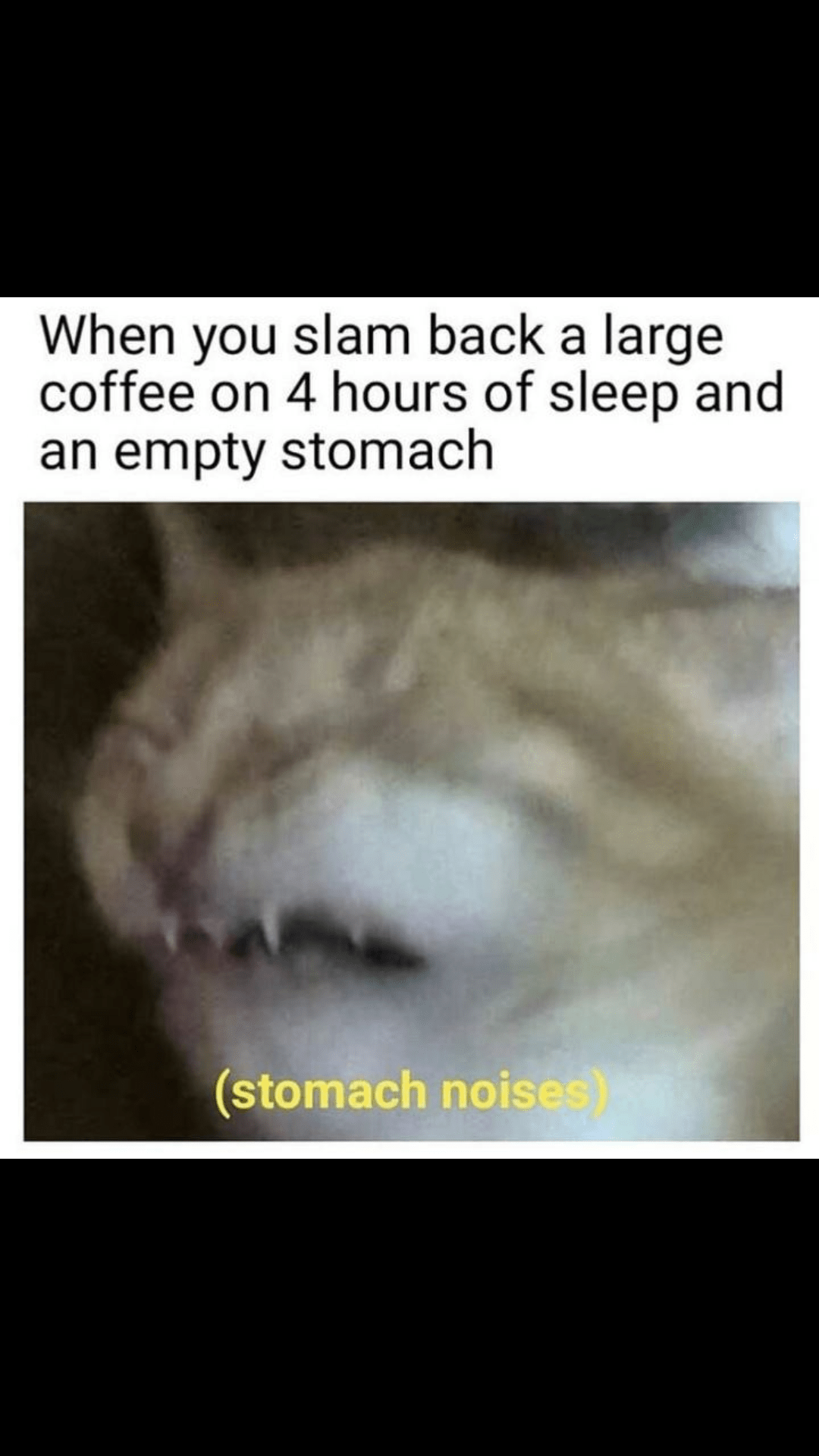 Coffee Stomach Pain Reddit / I Don T Think They Understand How