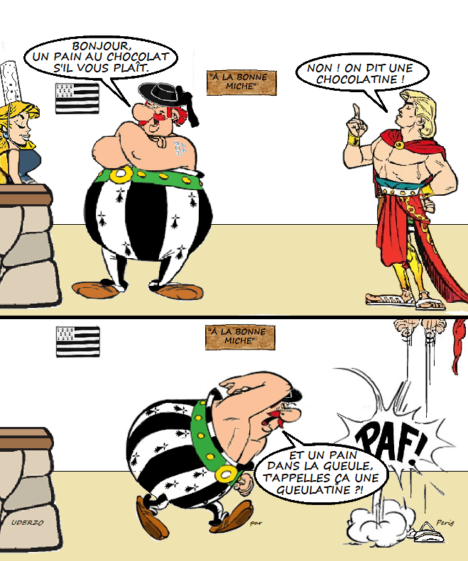 Obélix pro pain au chocolat r/rance