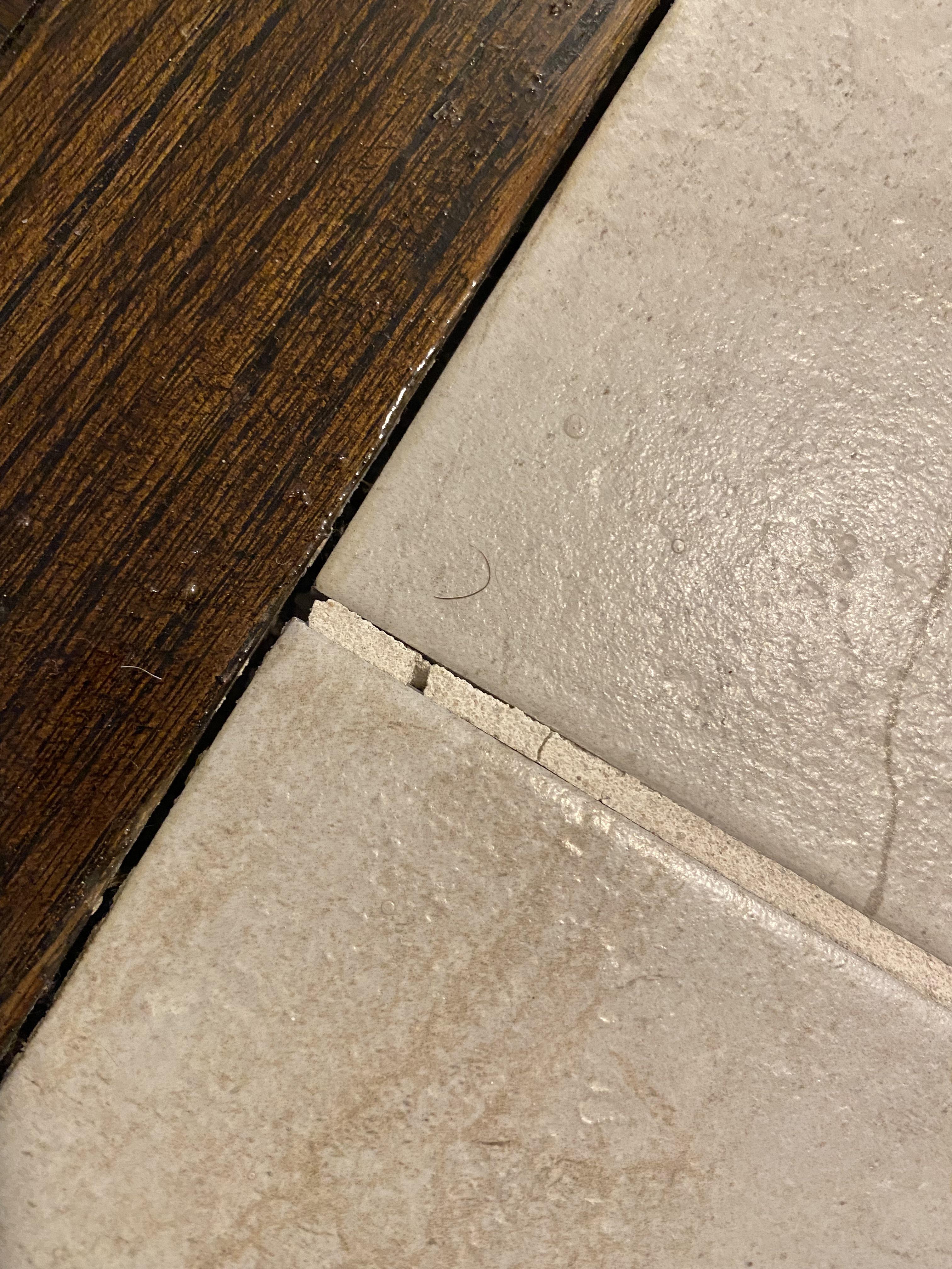 Fellas, do we grout between wood and tile? Also any clue the color of