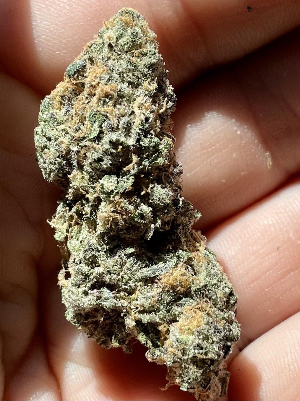 Pancake Breath r/StellarCannabis