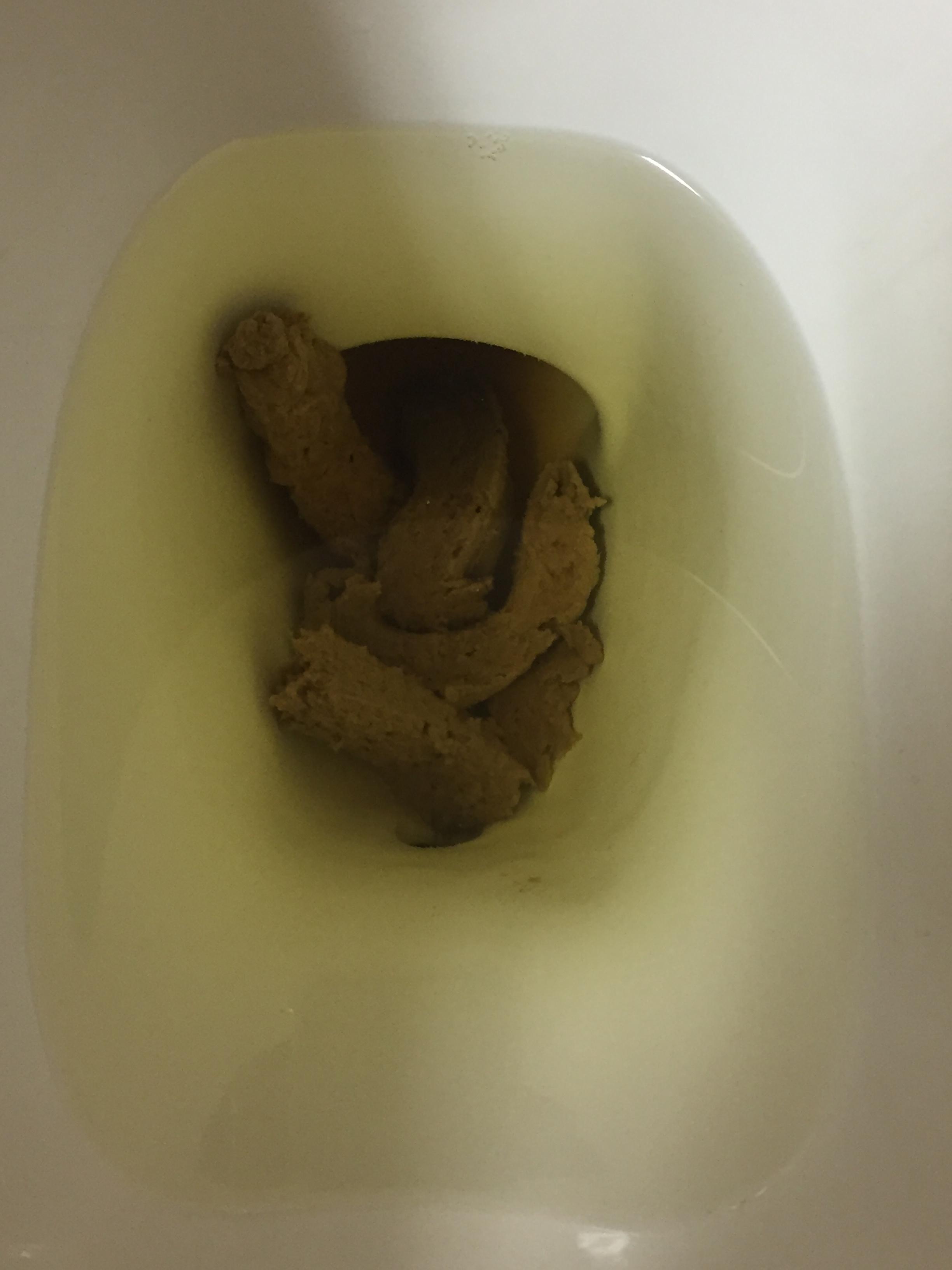 Breakfast Casserole : poop