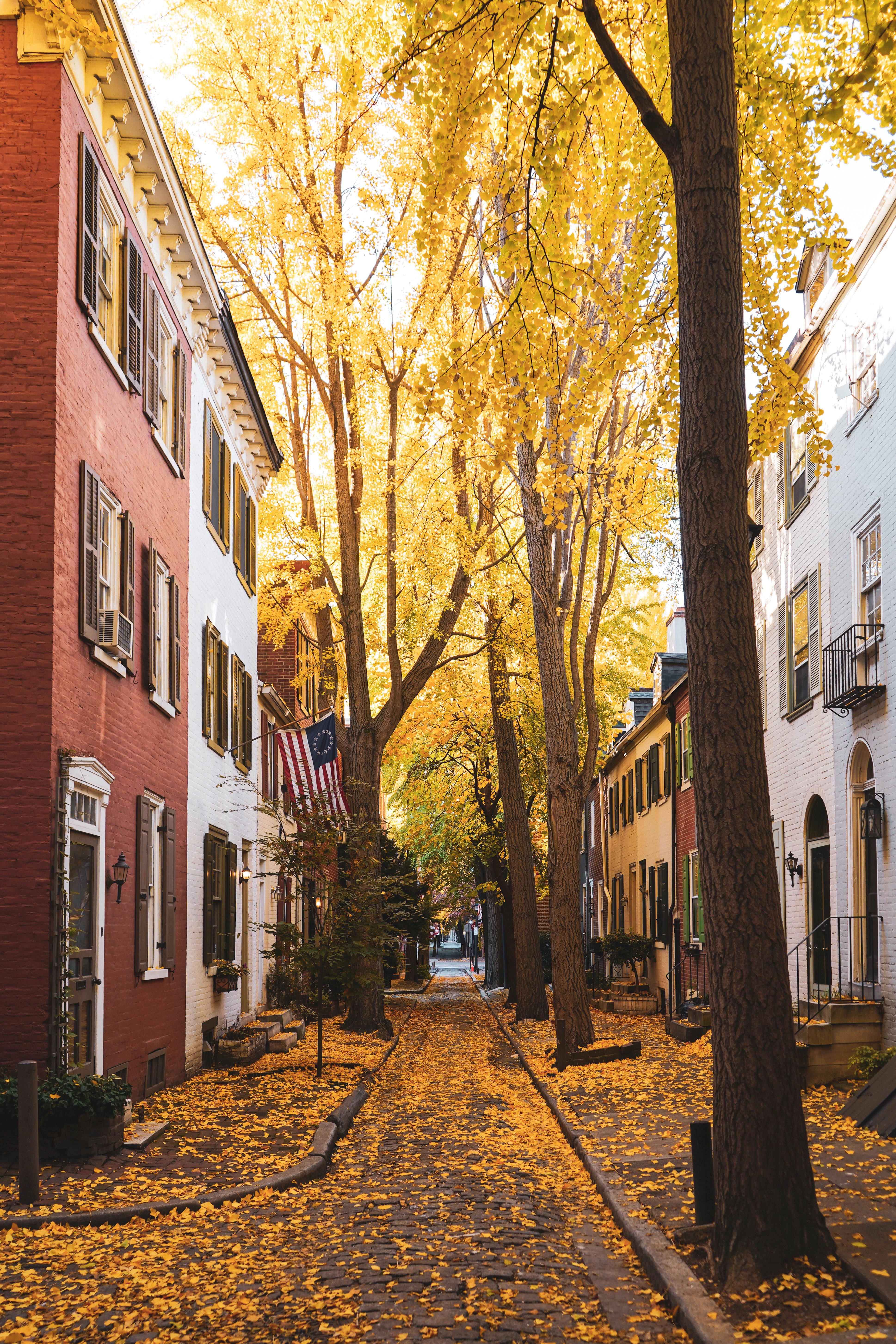 Quince Street this morning. 😍🍂 r/philadelphia