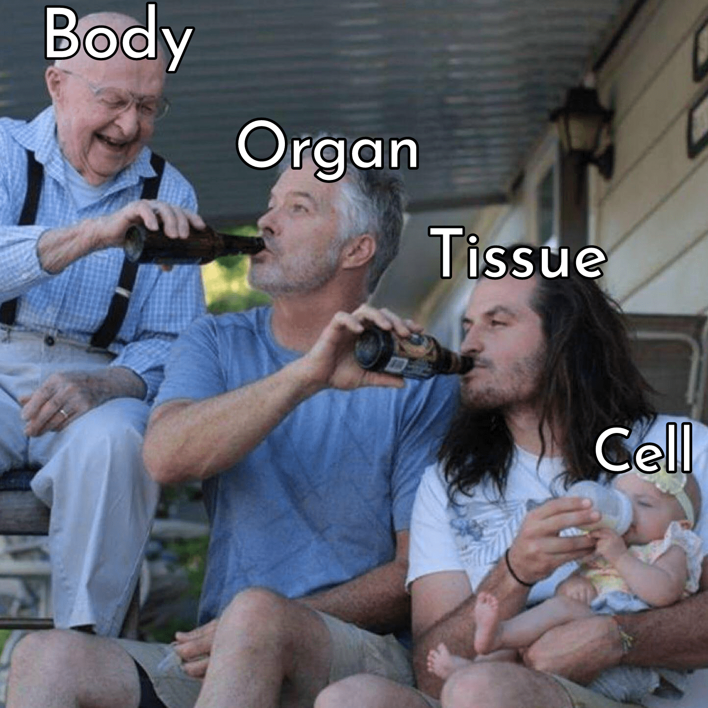 Basic Biology r/memes