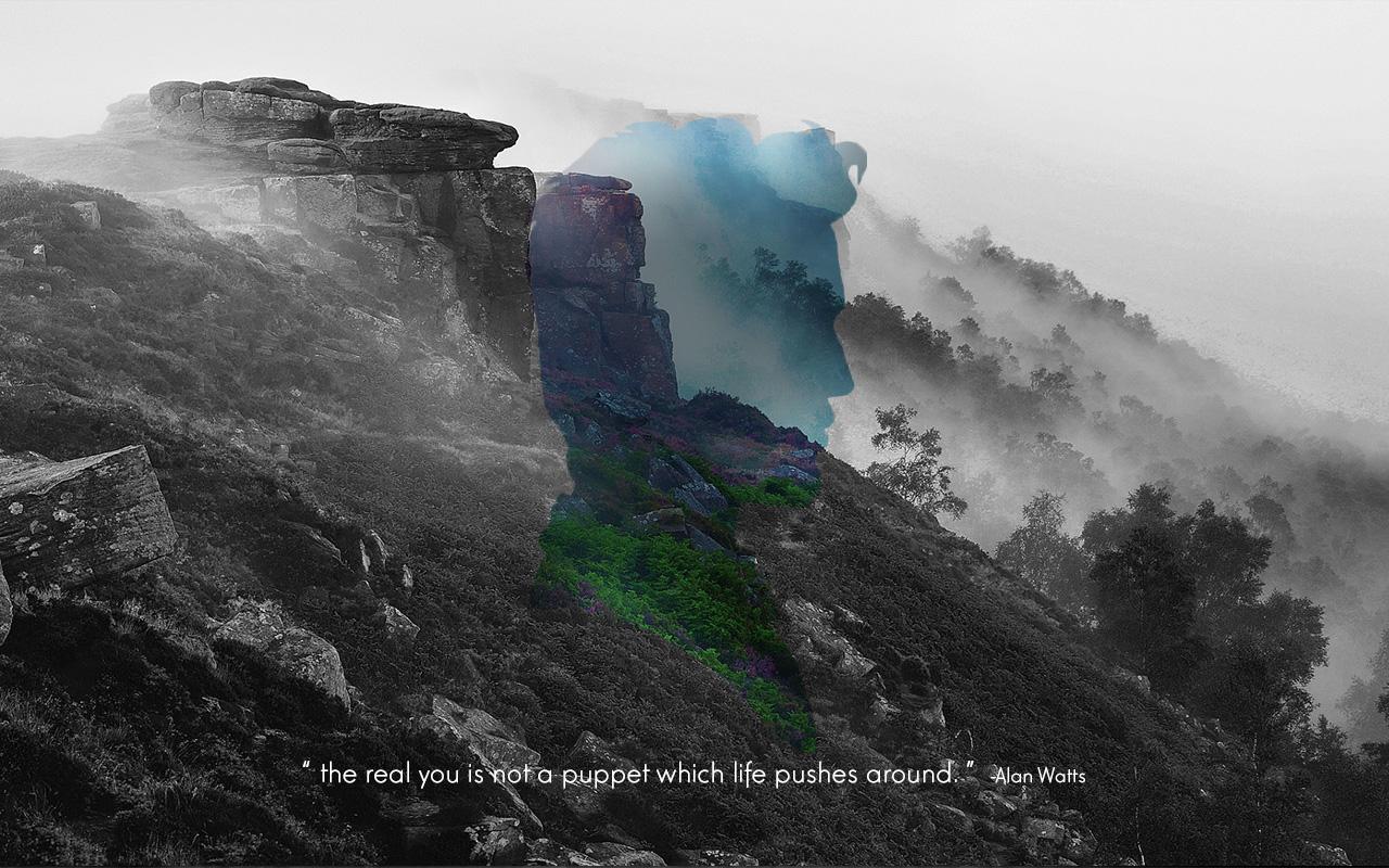 Alan Watts Quote wallpapers