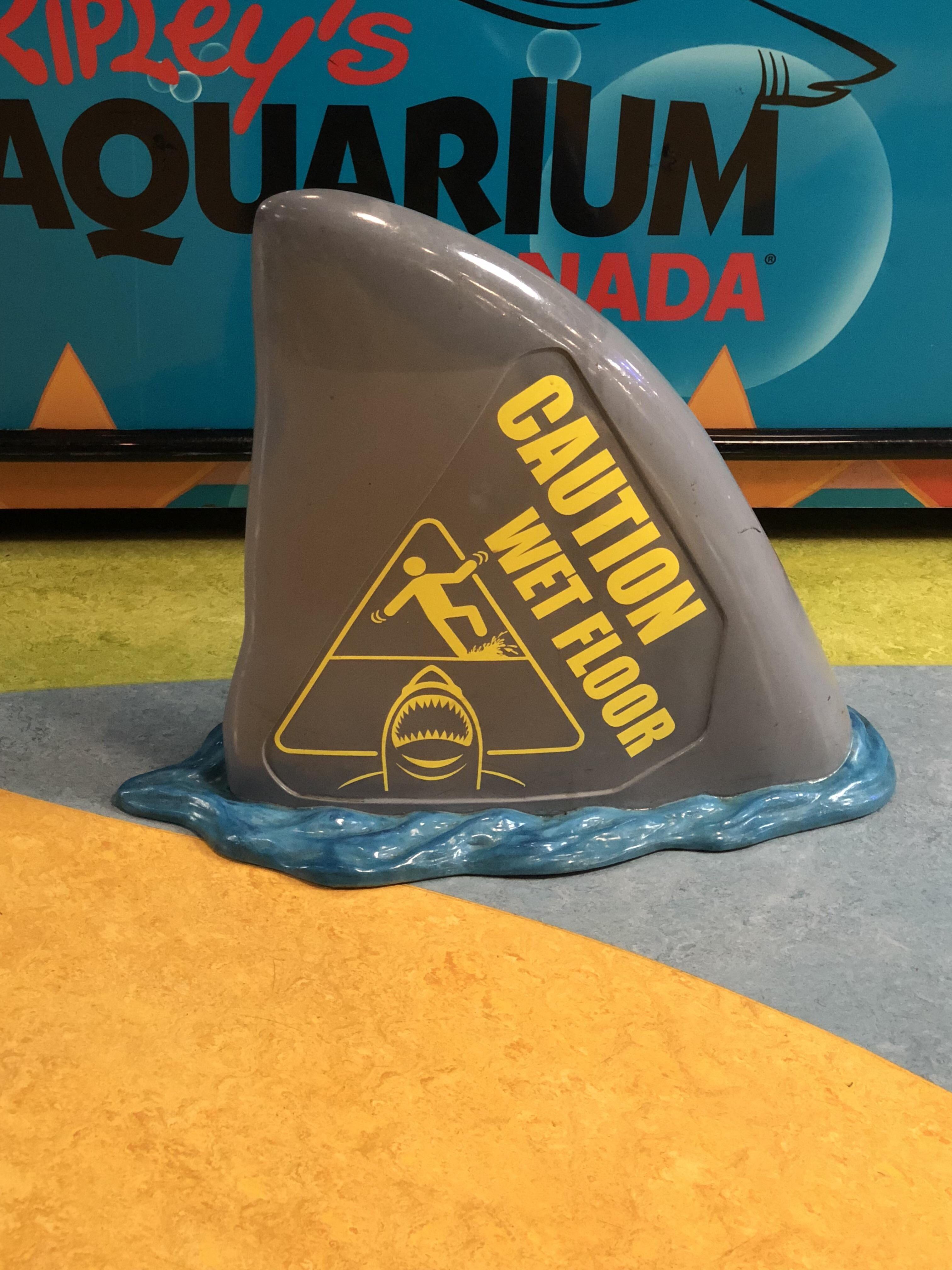 This wet floor sign is shaped like a shark fin. r/mildlyinteresting
