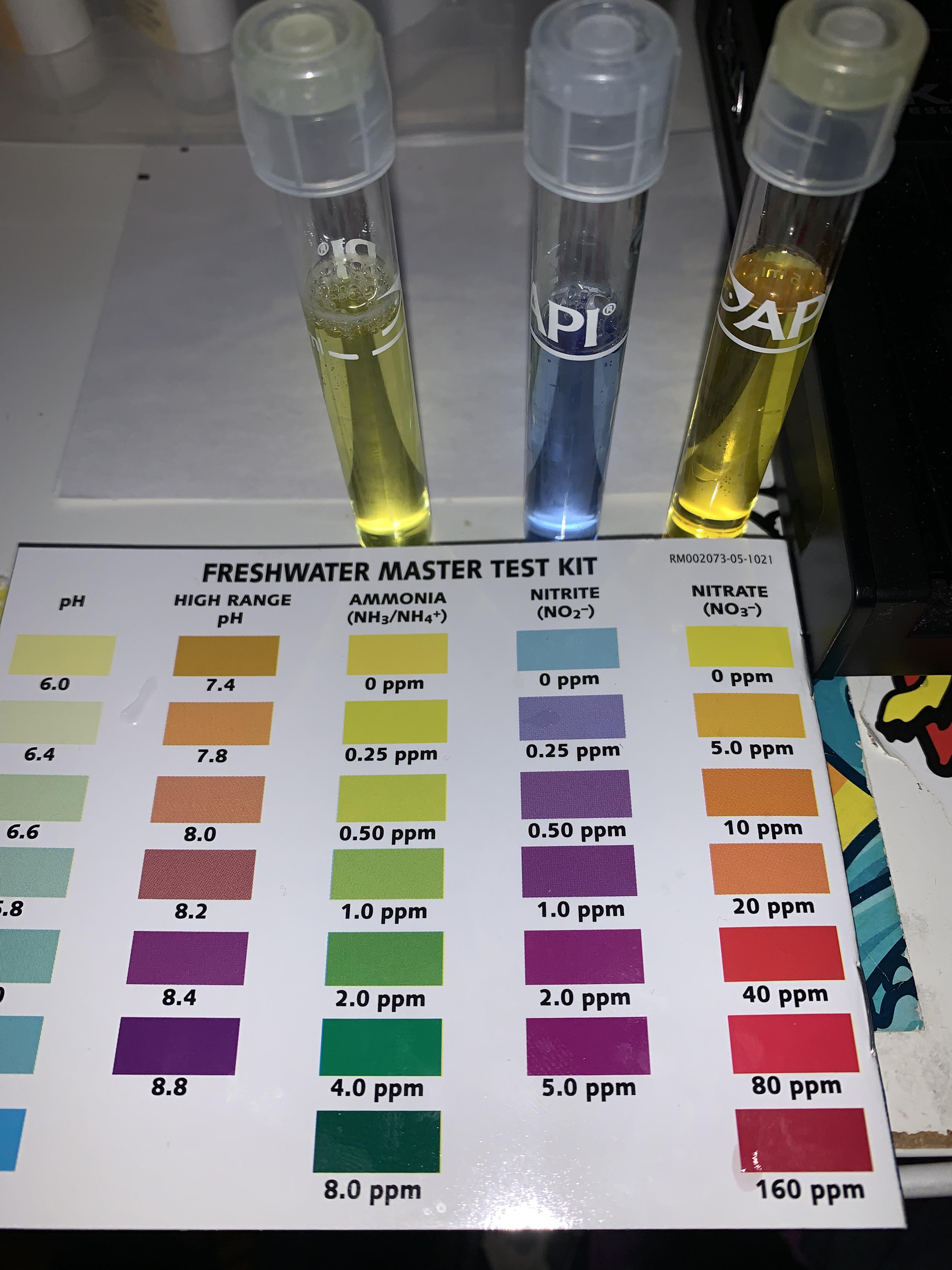 215 best Fishless images on Pholder Aquariums, Bettafish and Planted Tank