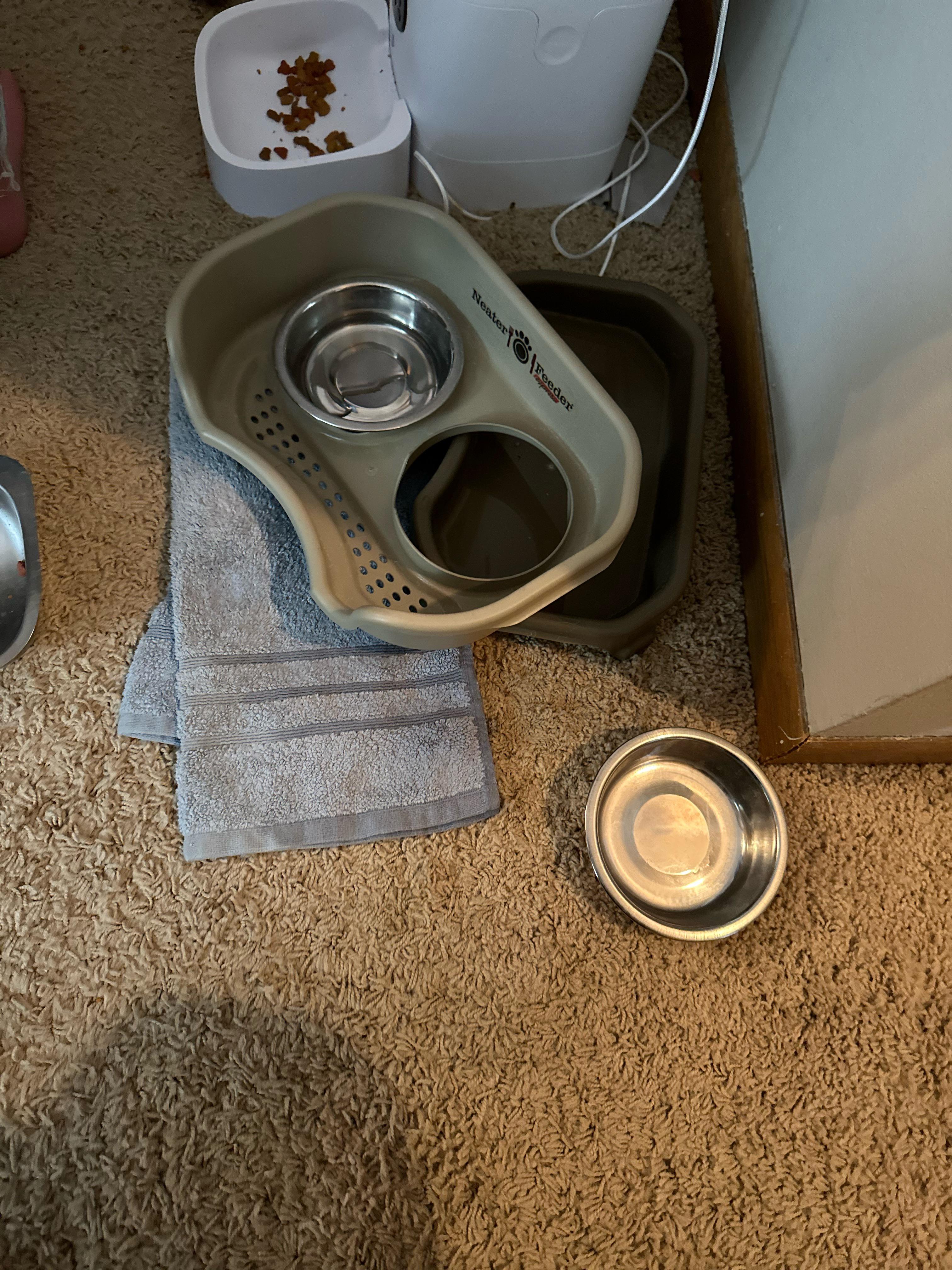 Cat spills water with gravity waterer, so we got her this… What do I do