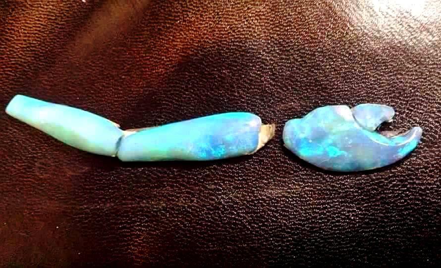 Opalized crab claw If a cavity has formed because a bone, shell or