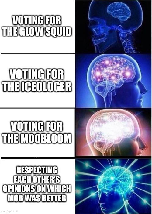 We should just respect each other’s opinions. MinecraftMemes
