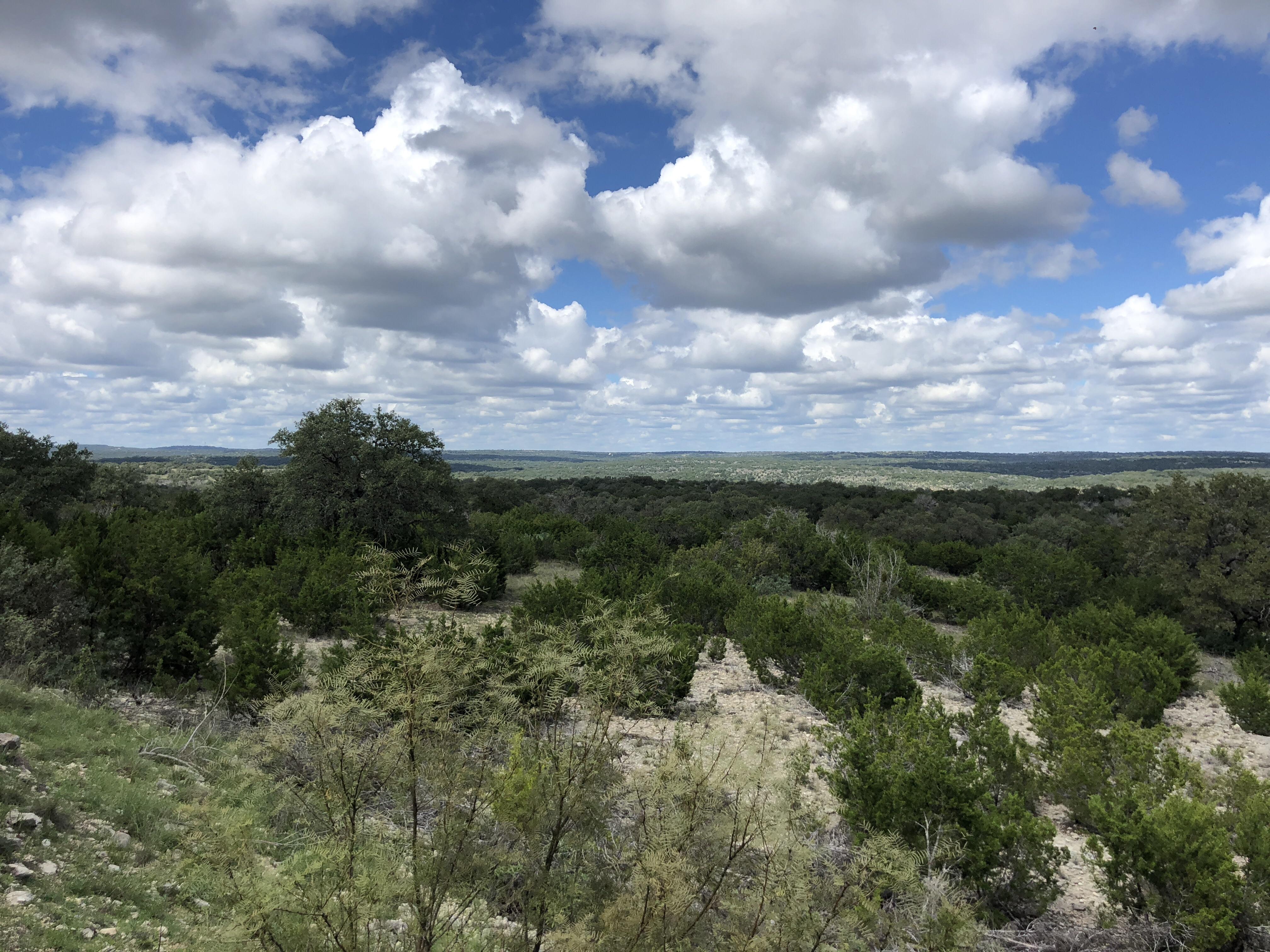 Roosevelt, Texas r/TXoutdoors