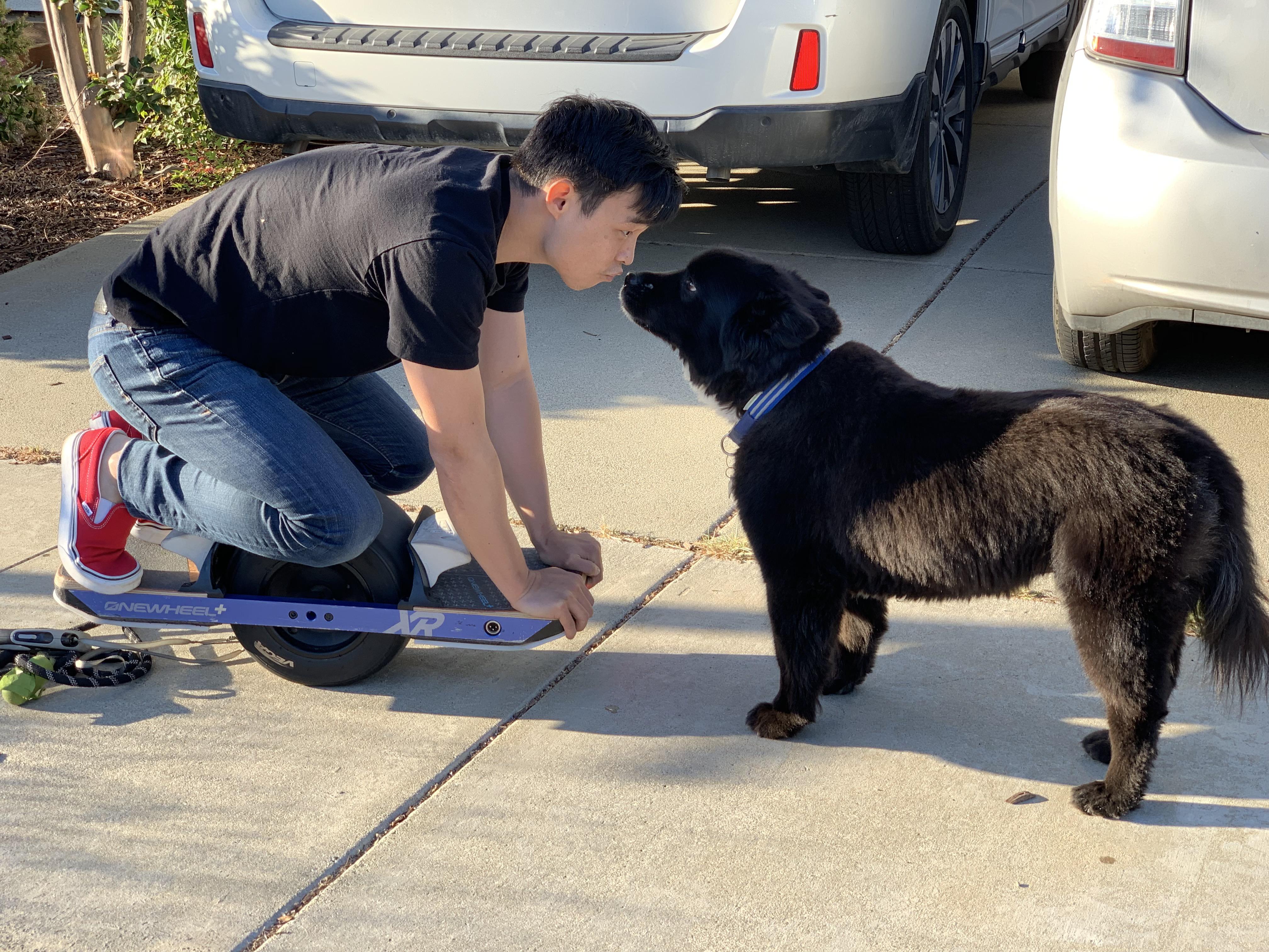 Teaching my dog how to onewheel r/onewheel