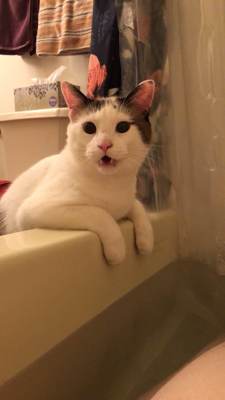 I Tooted In The Bathtub Yelling at mom in the bathtub teefies teefies