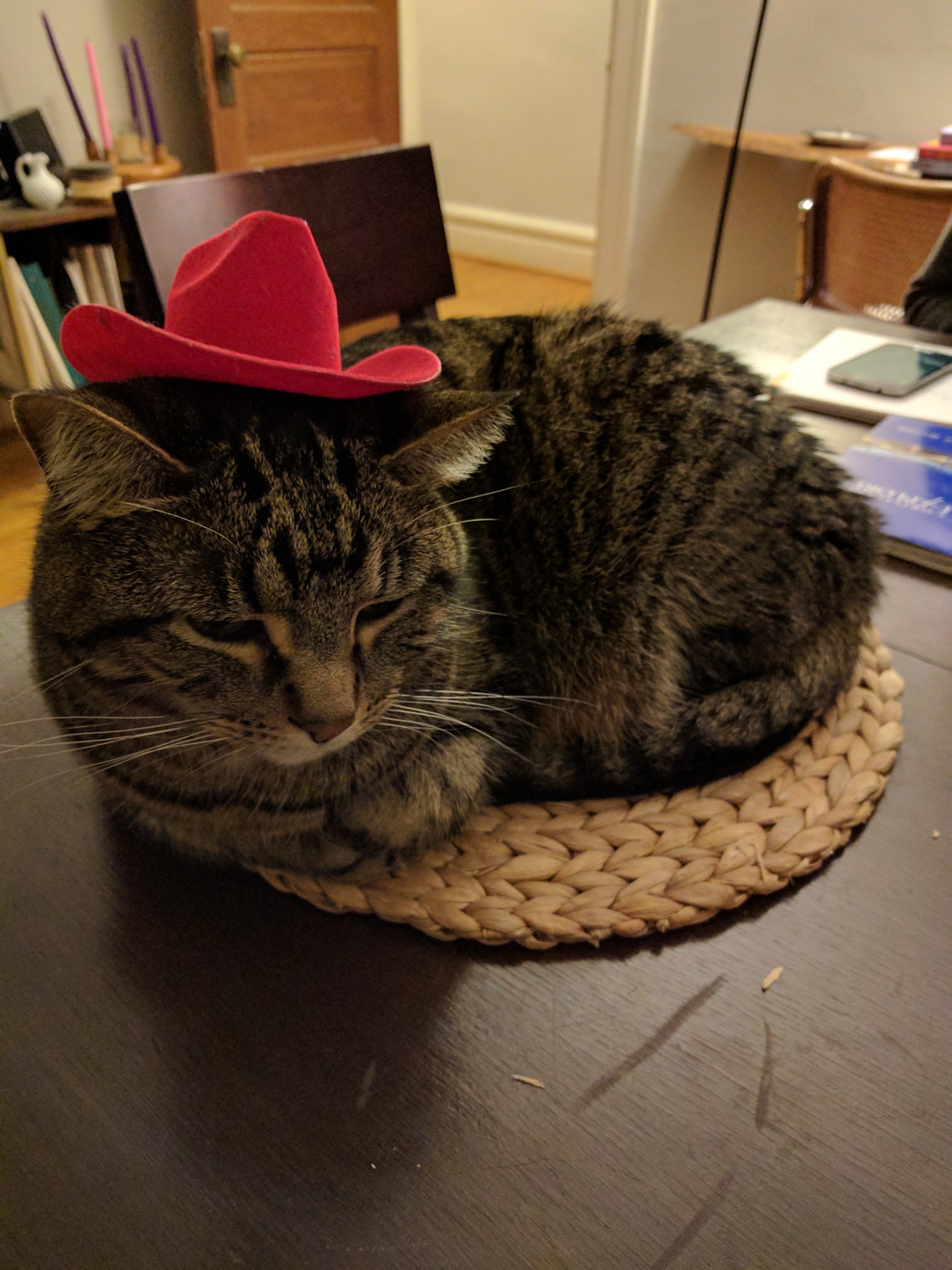A cat in a hat on a mat. r/aww