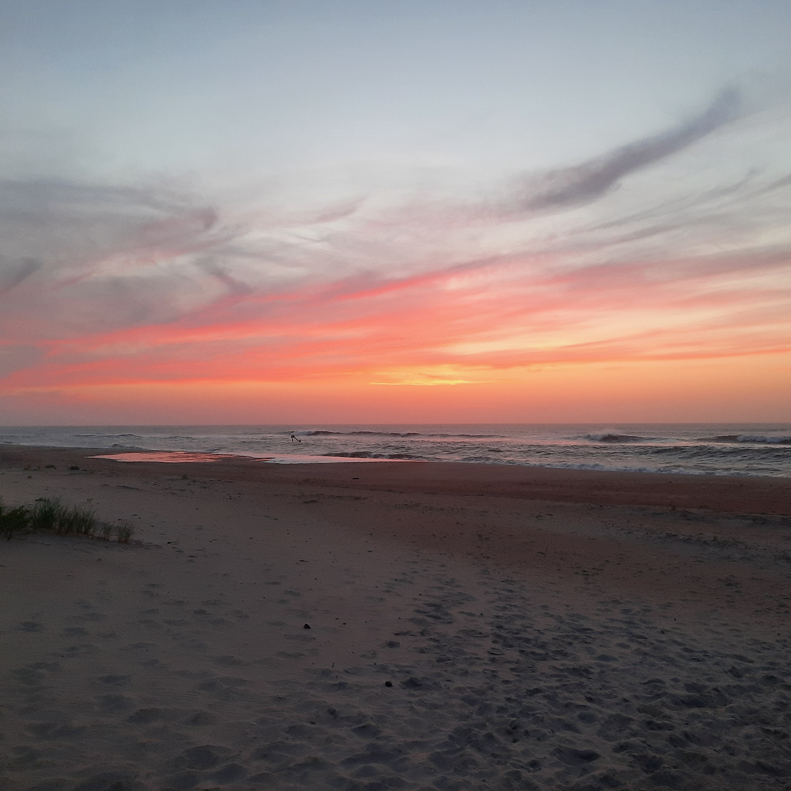 Salvo, OBX NC r/natureporn