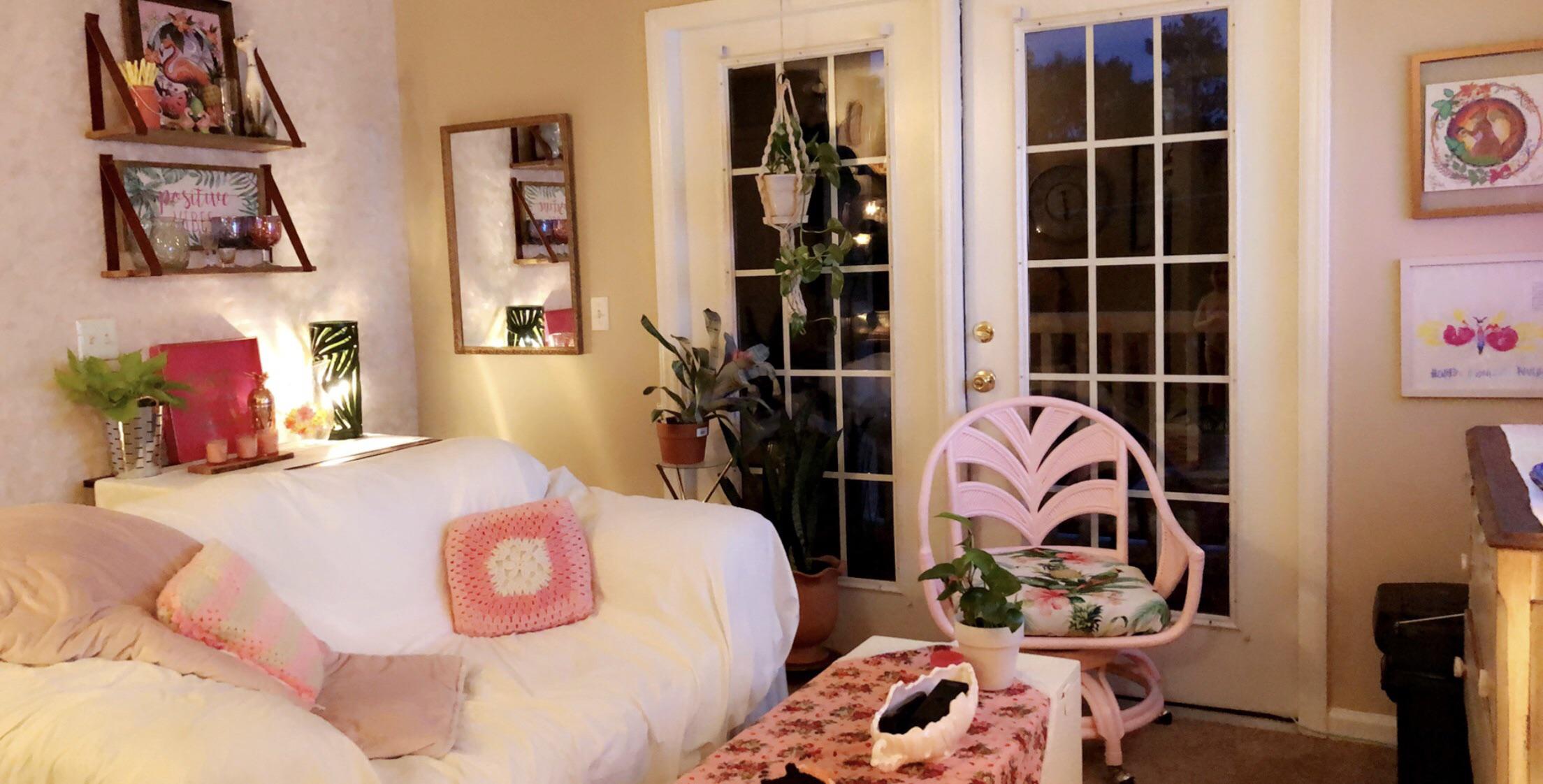 My pink living room. Durham, NC r/AmateurRoomPorn