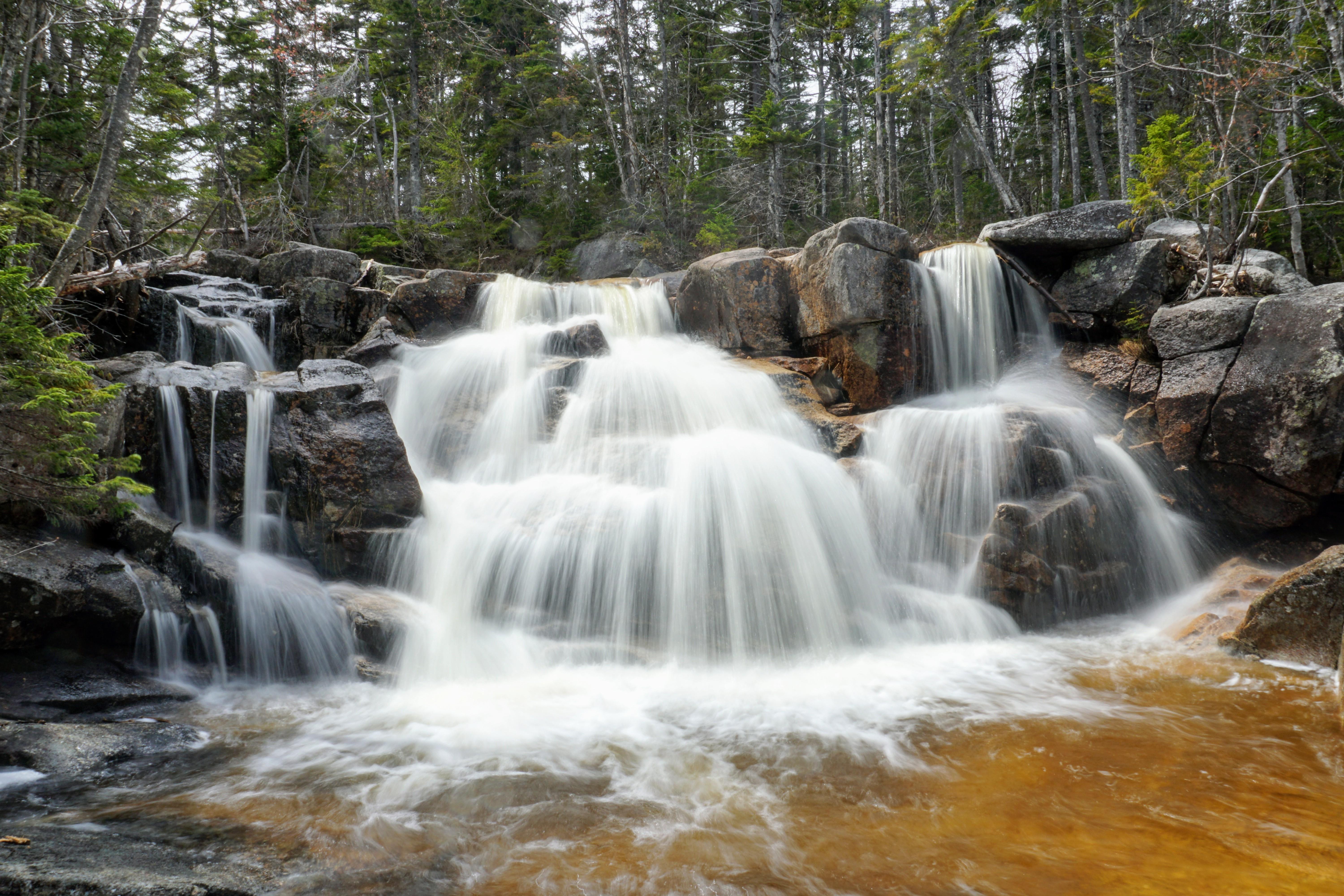 Waterfalls in the woods, White Mountains National Forest [6000 x 4000