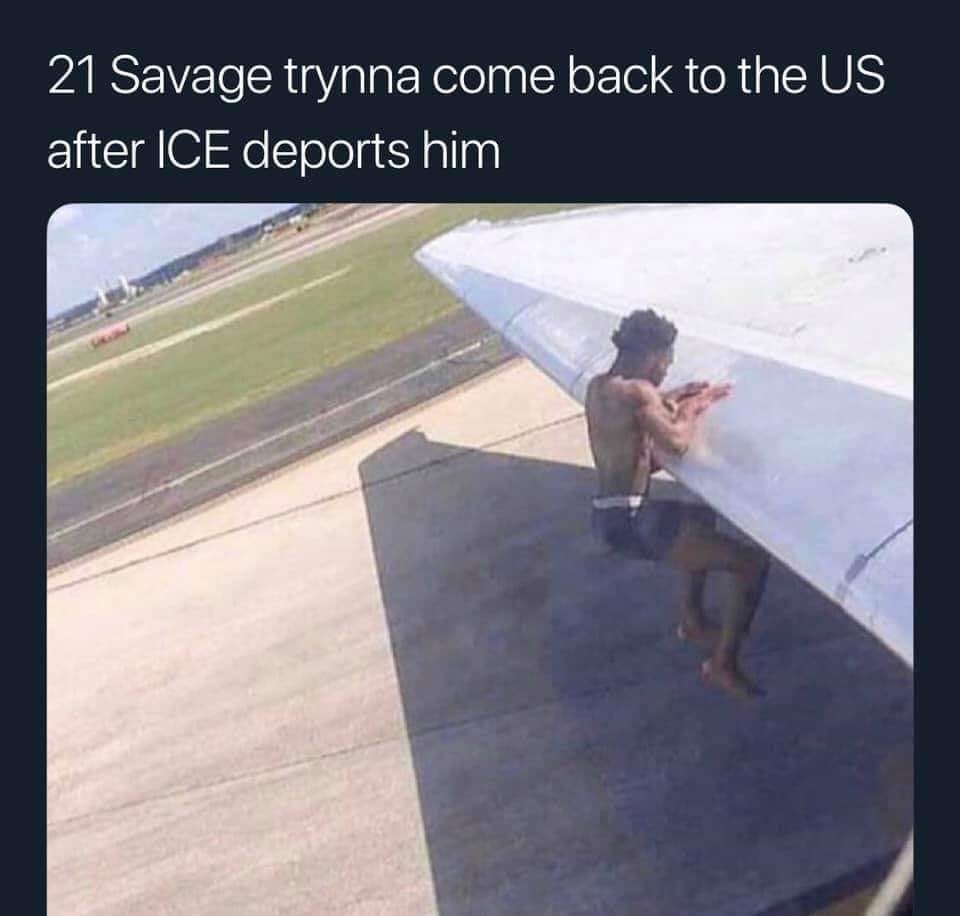 13 best u/ohmykung images on Pholder Shiba, Nsfw and Wholesomejojo