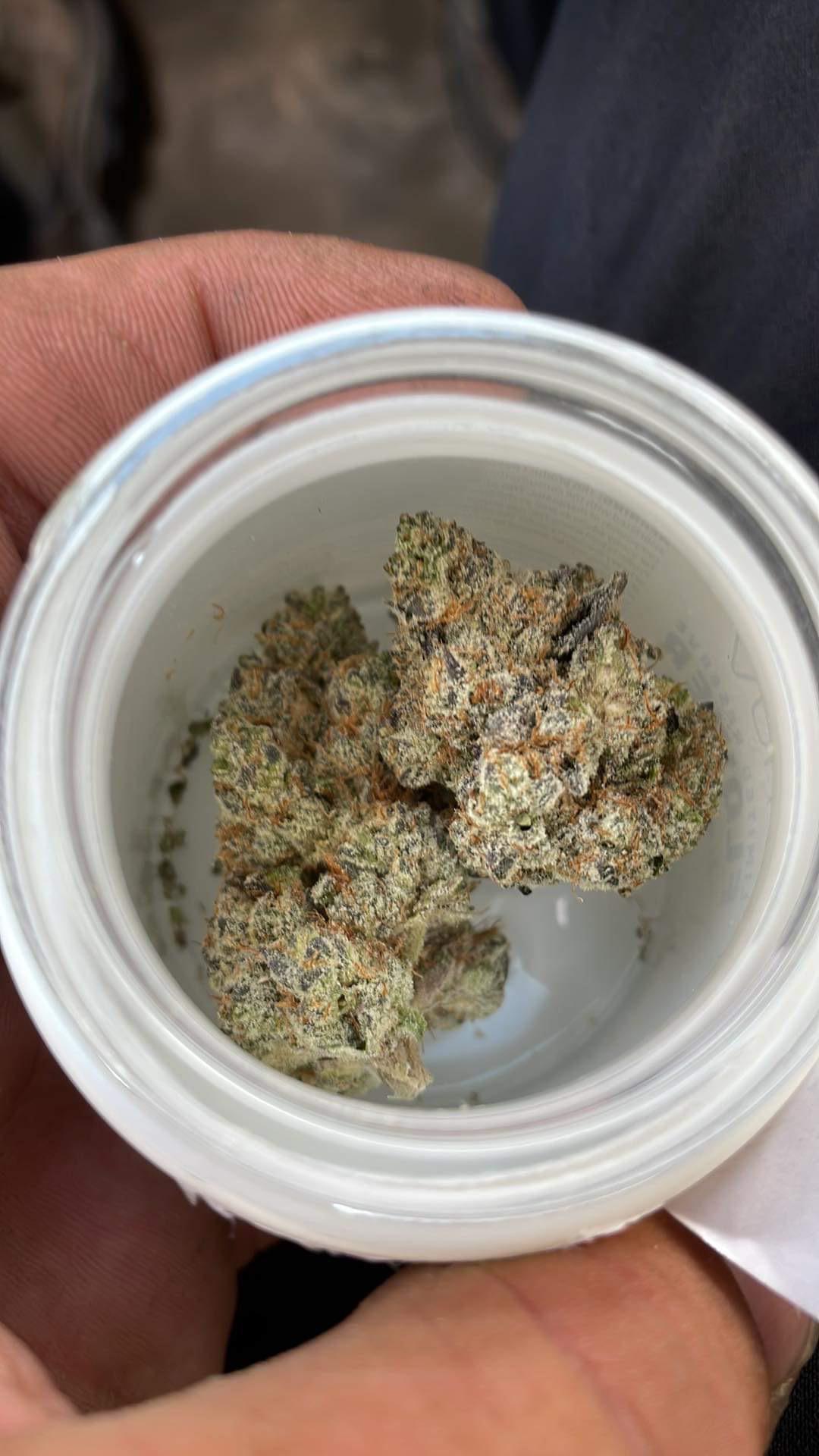 Space mints 23 r/FLMedicalTrees