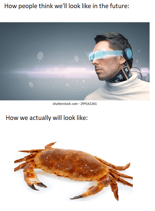 Everything evolves into crab r/memes