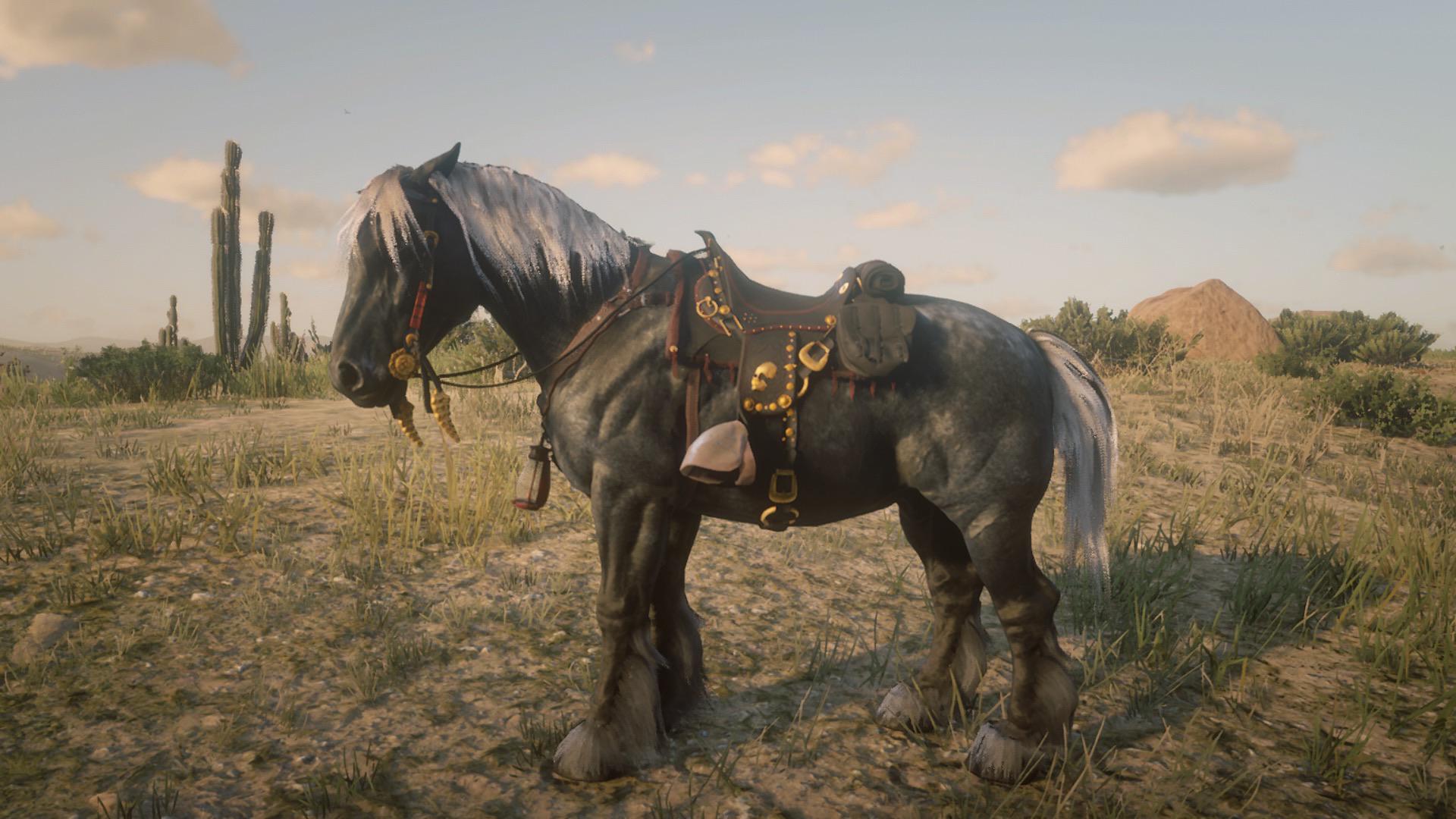 My ultimate bounty hunting horse!!