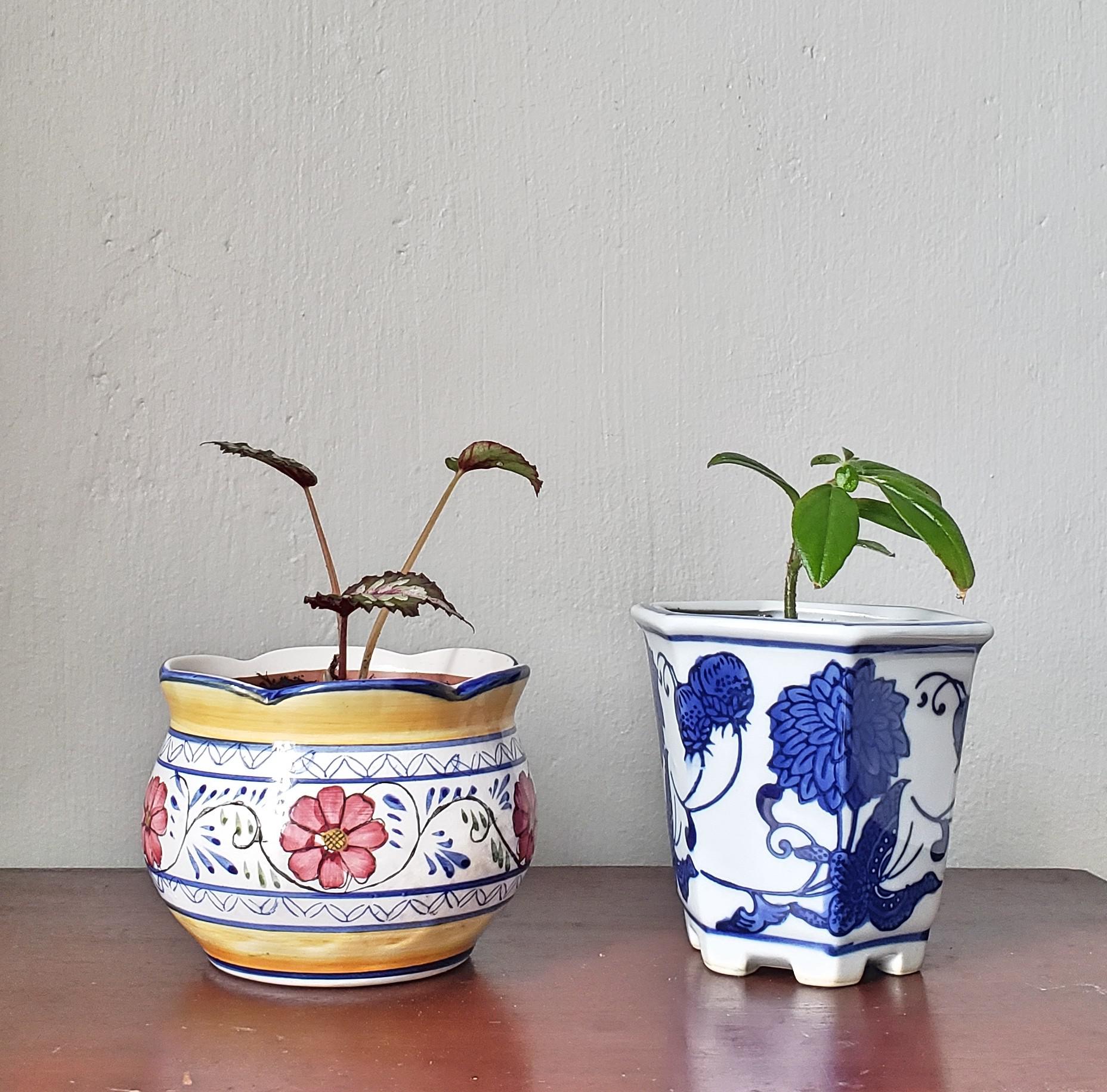 I found two floral pots for 99 cents each! I was so surprised they did