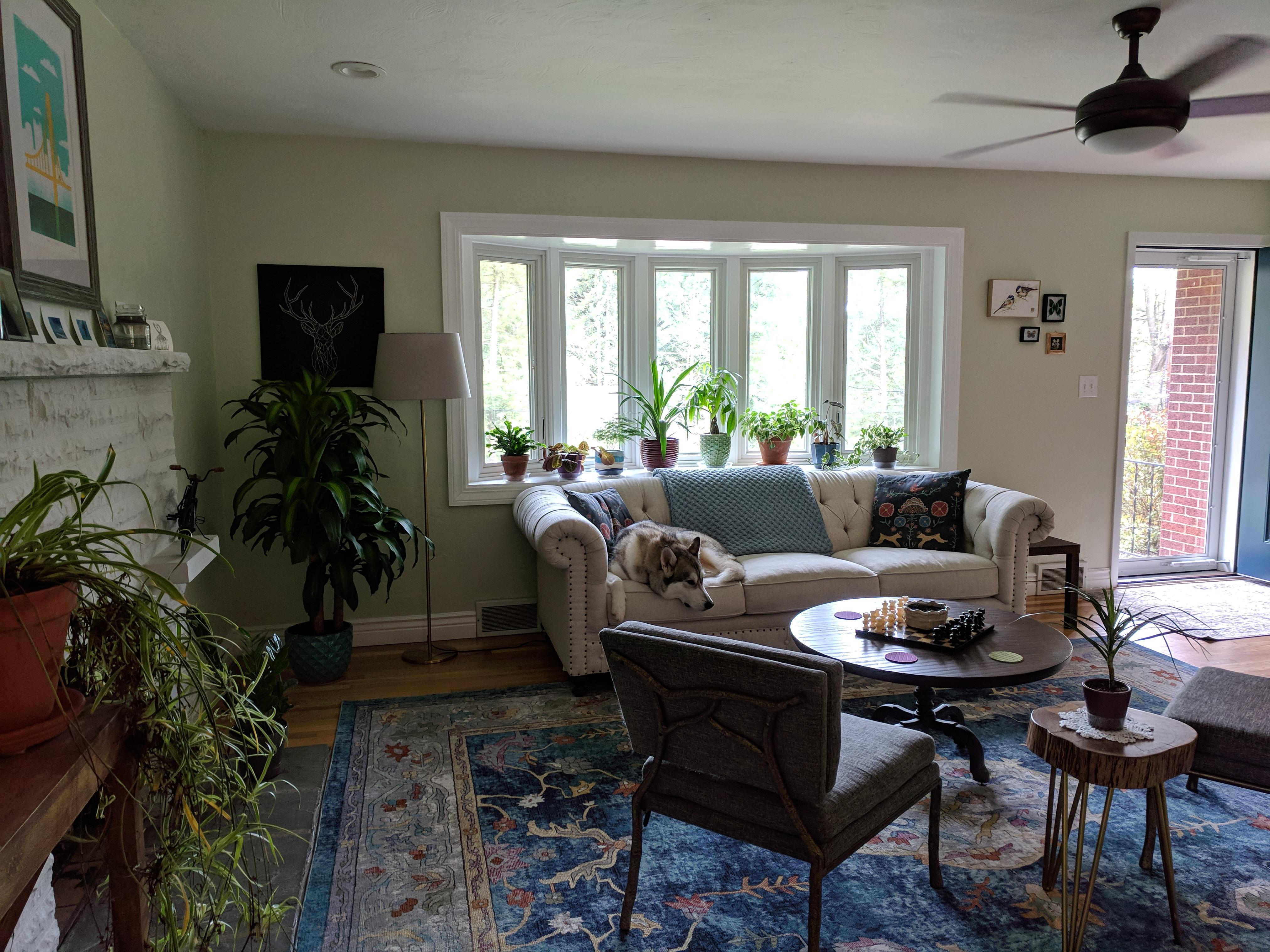 Our Living Room [Pittsburgh, PA] r/AmateurRoomPorn