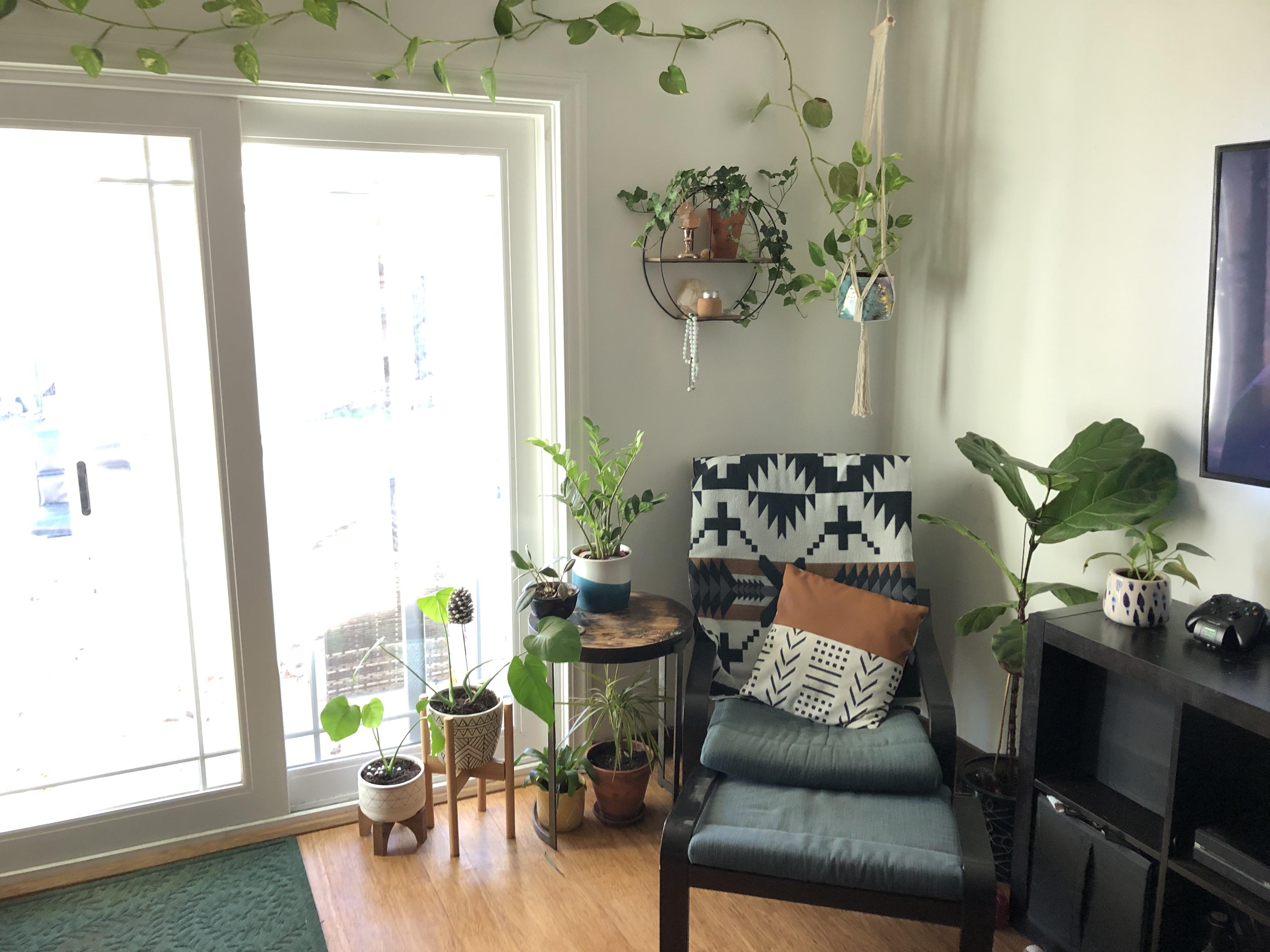 Our cozy plant corner, Northern California r/houseplants