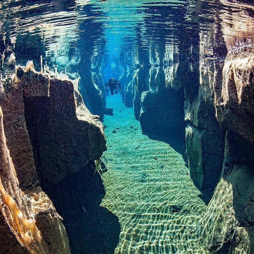 Crystal clear water in Nesgja, Iceland. r/pics