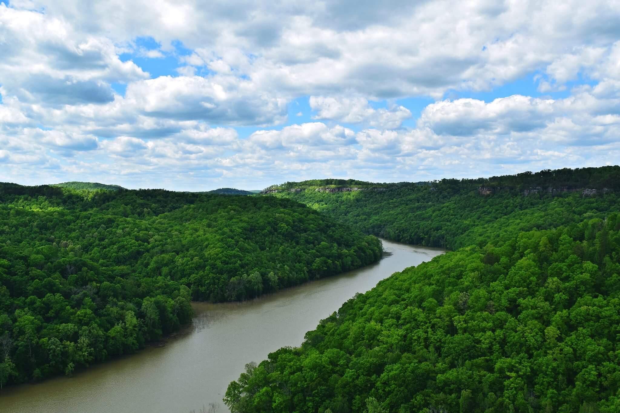 Buzzard Rock, McCreary County, KY today! My favorite overlook nearby