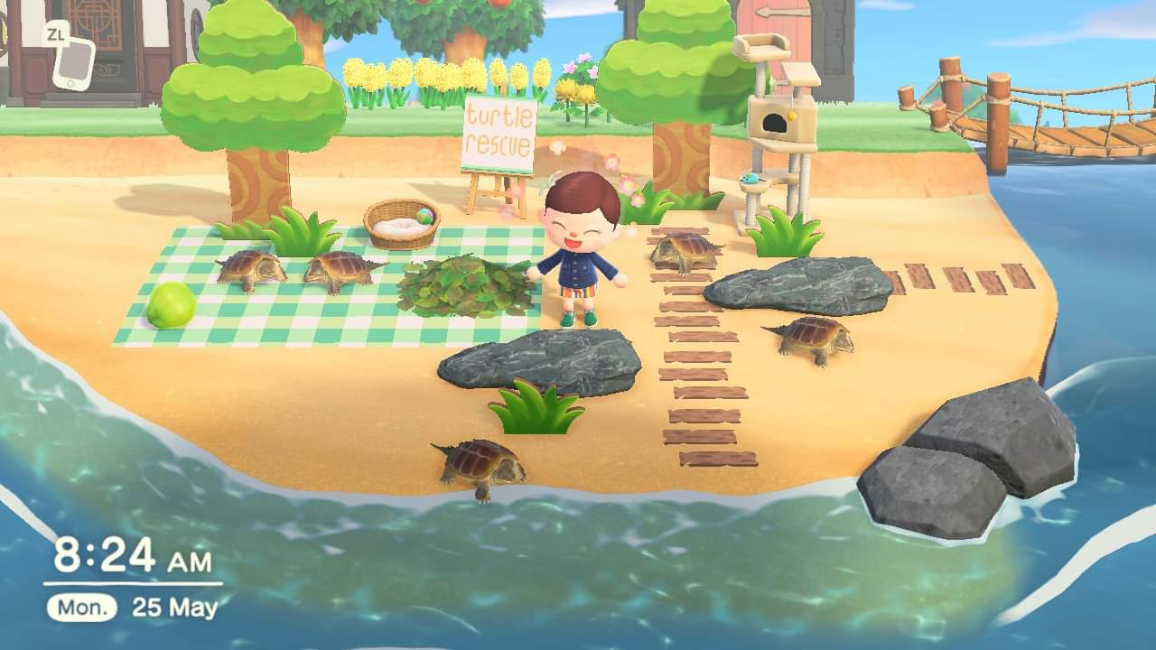 First post). Wanted to give turtles a better life in ACNH, decided to