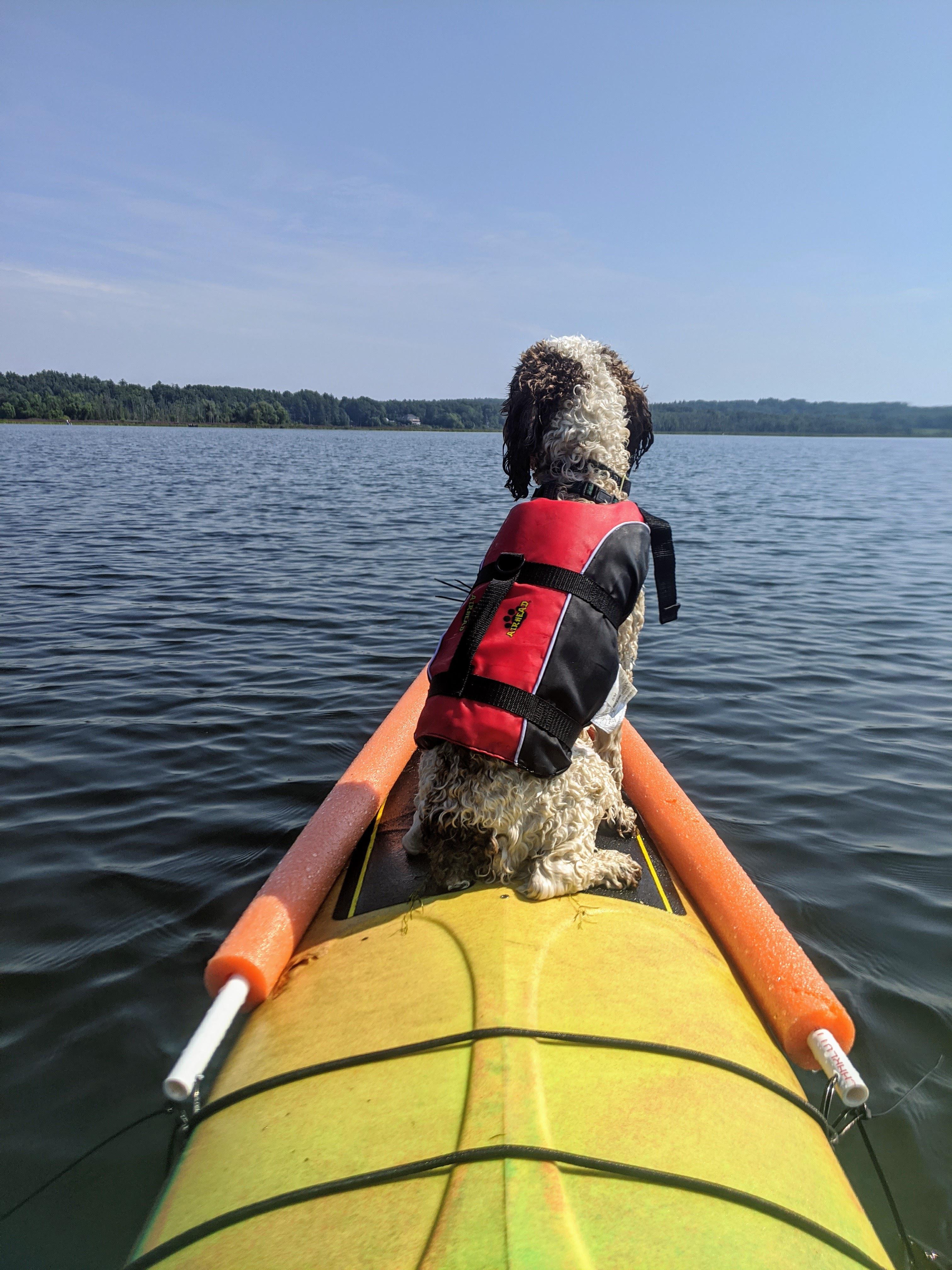 Help with a light weight, affordable solo canoe option for 190lb human