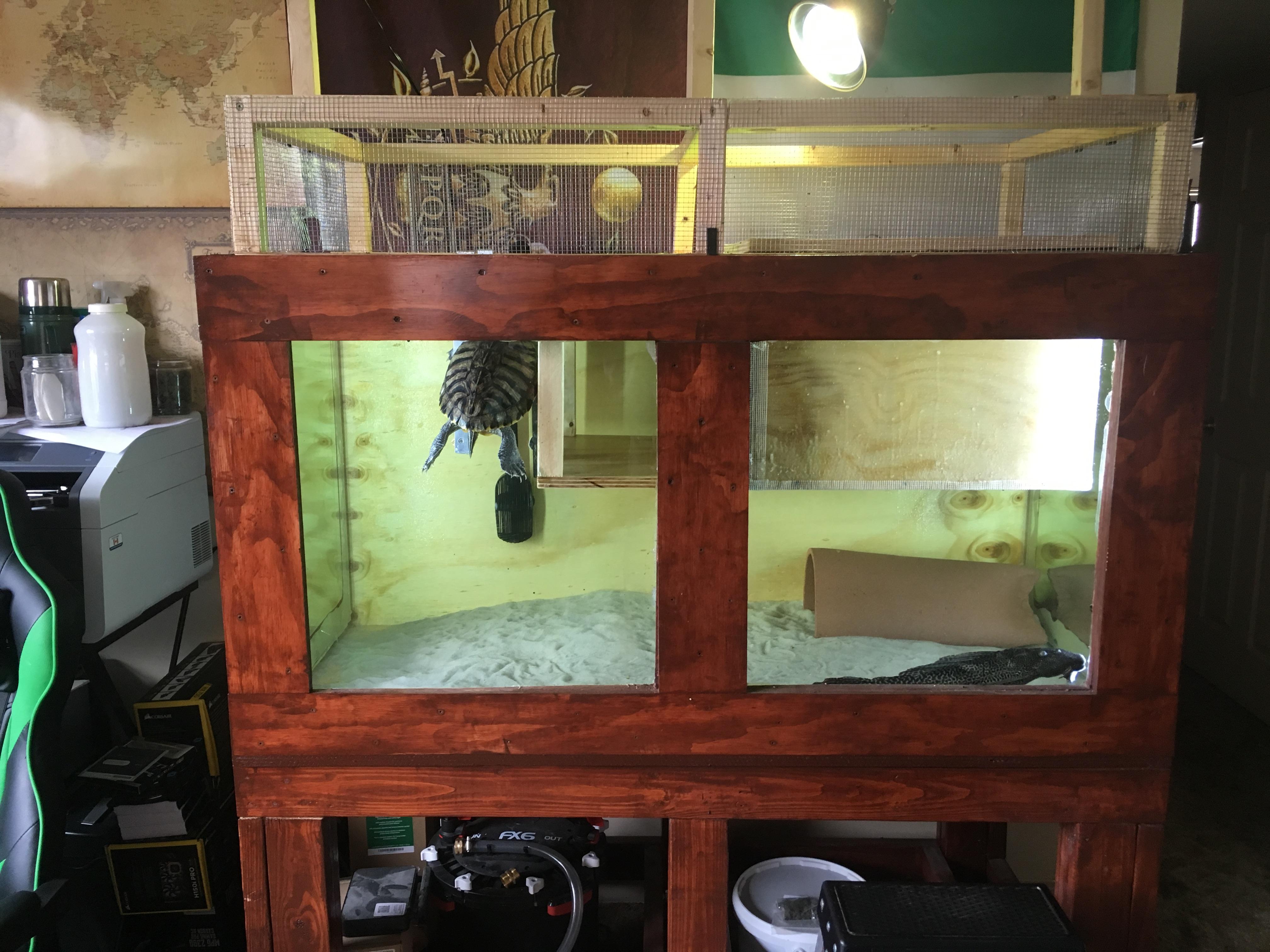 My New 150 Gallon Plywood Aquarium r/Aquariums