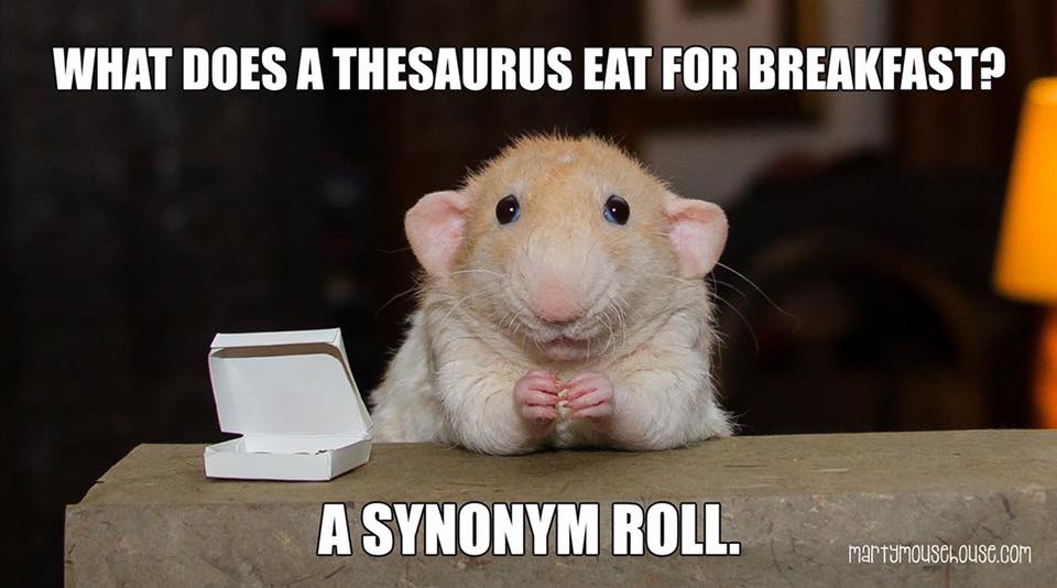 What does a thesaurus eat for breakfast? r/puns