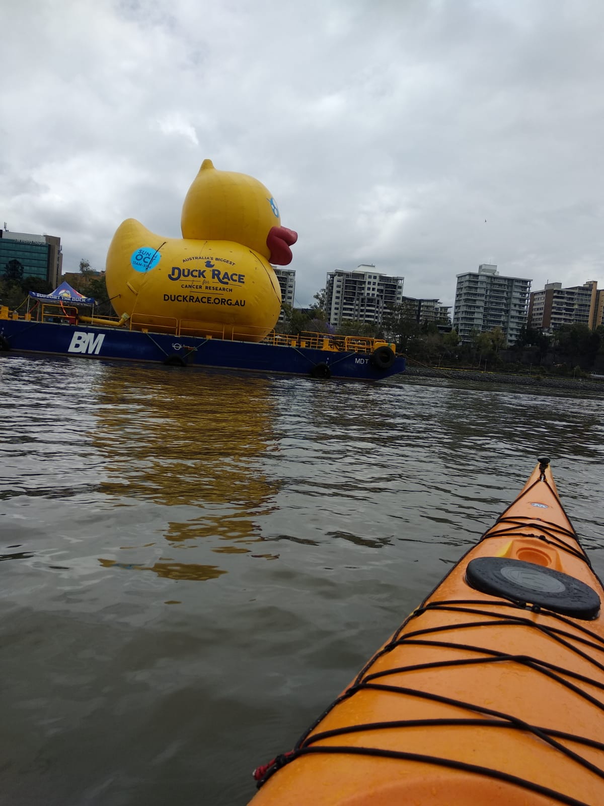 Saw this while paddling along the Brisbane river, anyone lose it? P