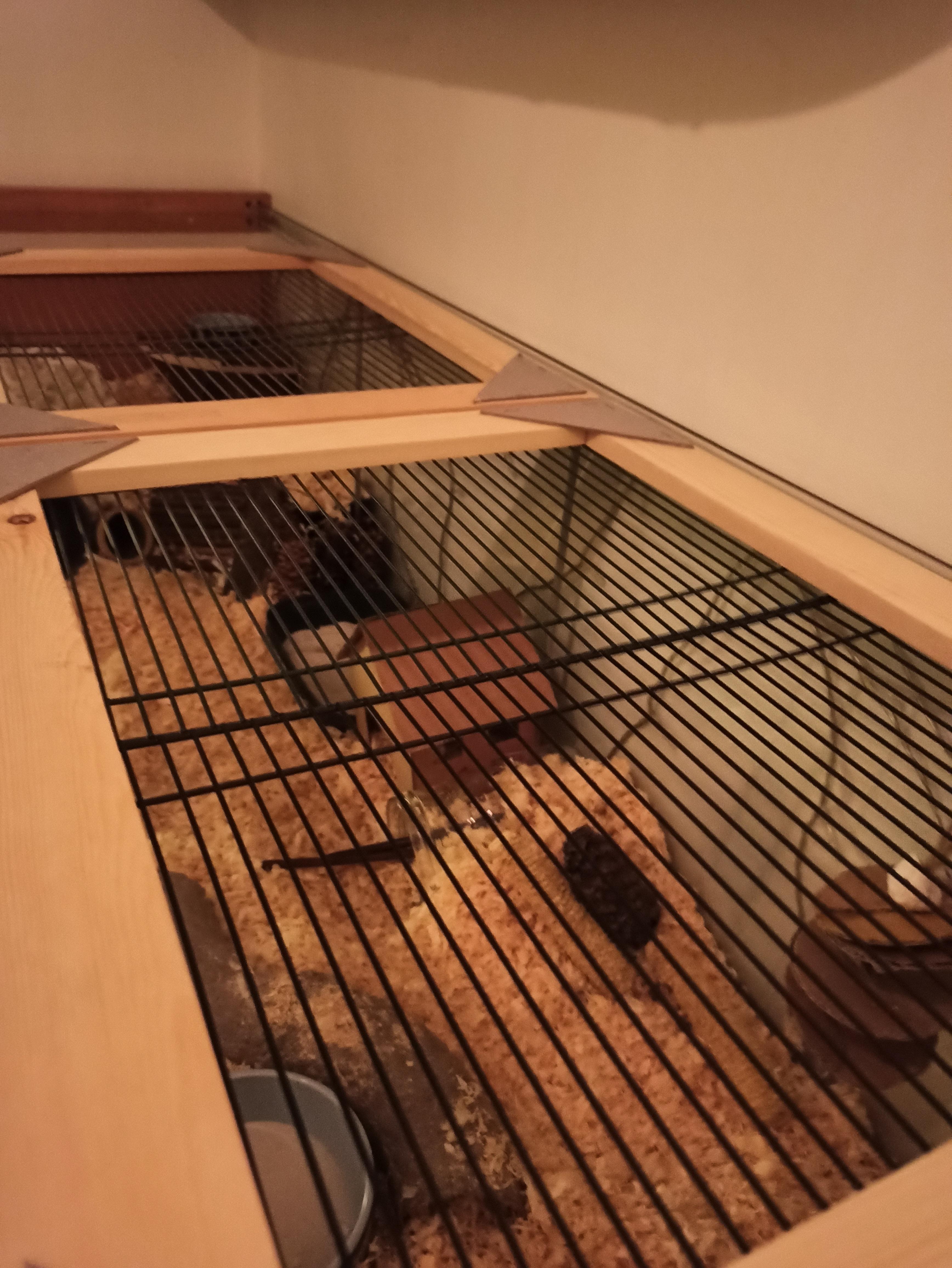 Diy Ikea Detolf Hamster Cage Lid DIY